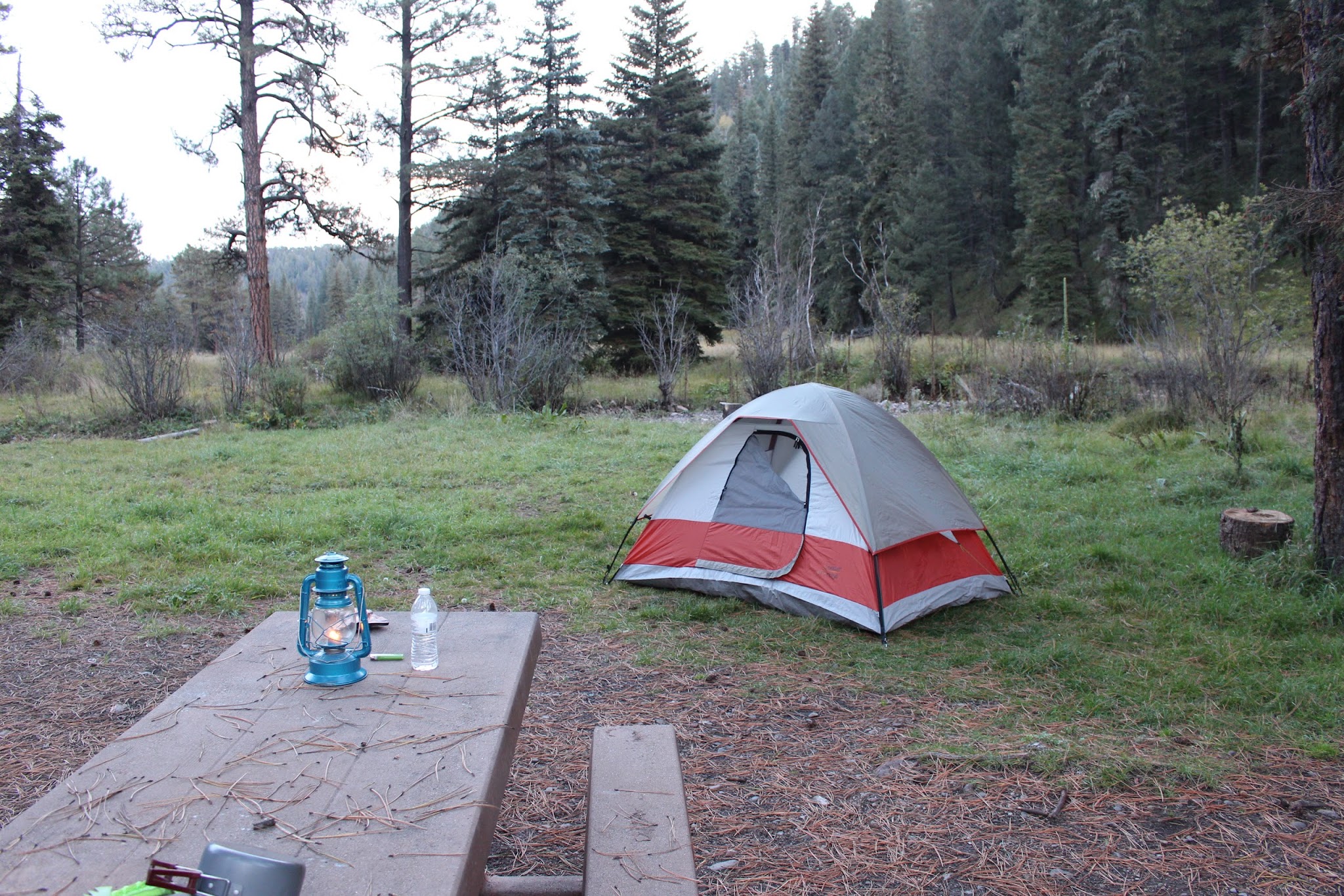 Ben Lilly Campground