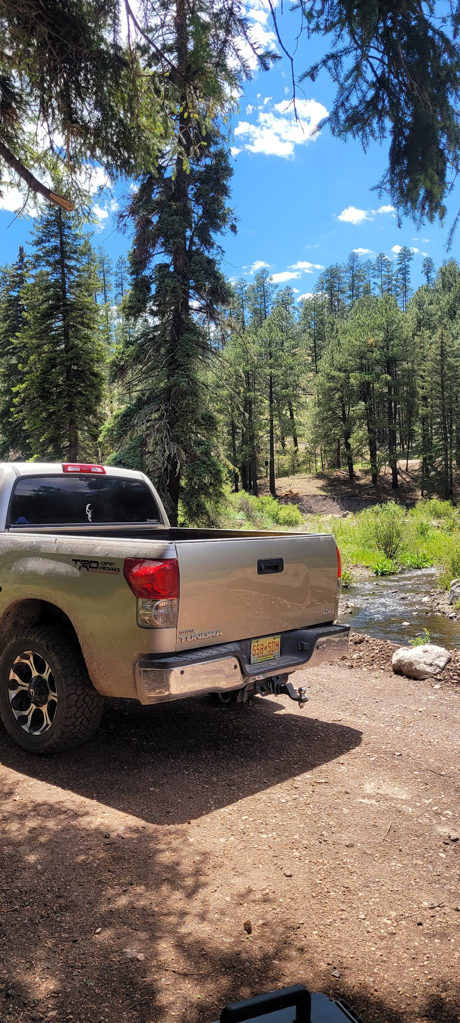 Ben Lilly Campground