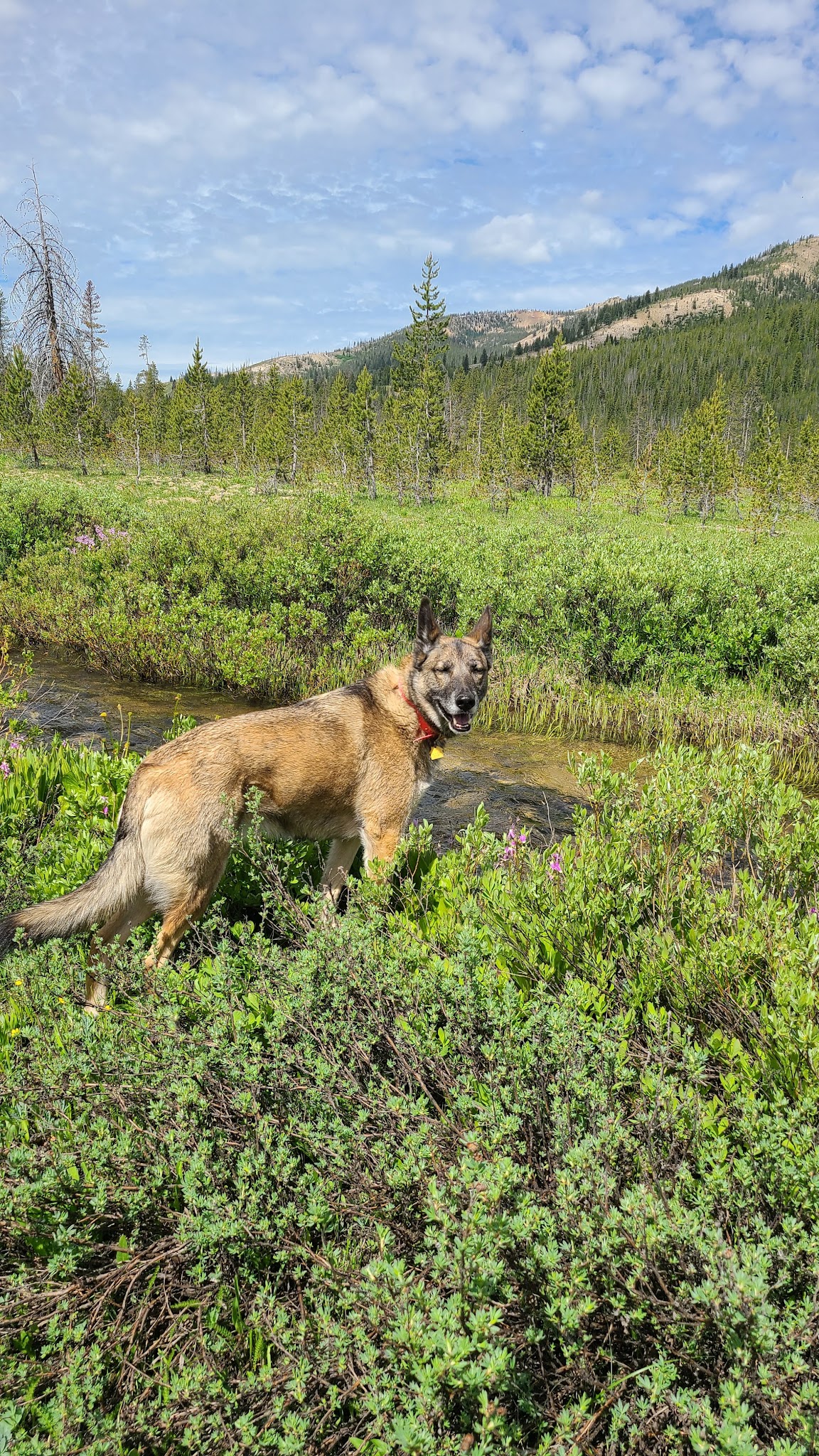 Bench Creek Campground