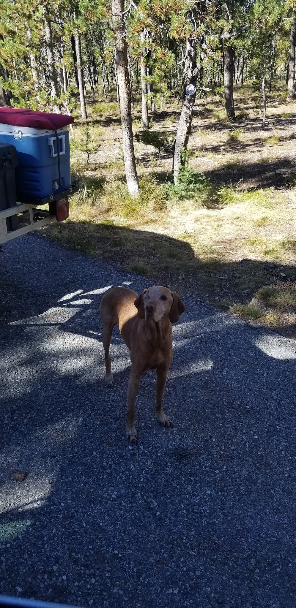 Bench Creek Campground