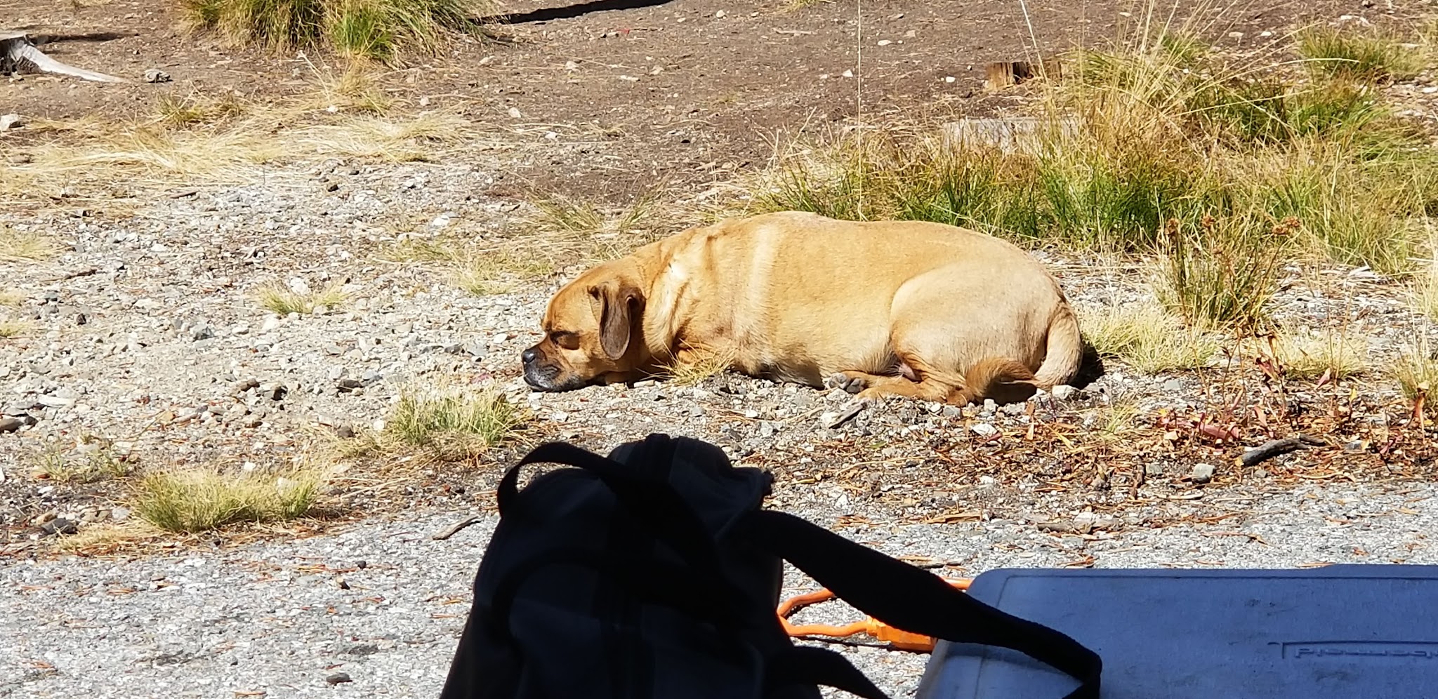 Bench Creek Campground