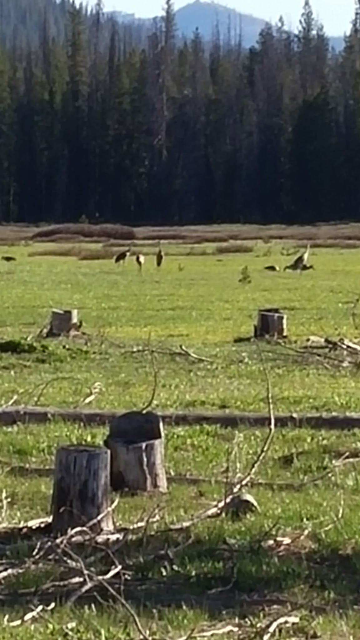 Bench Creek Campground