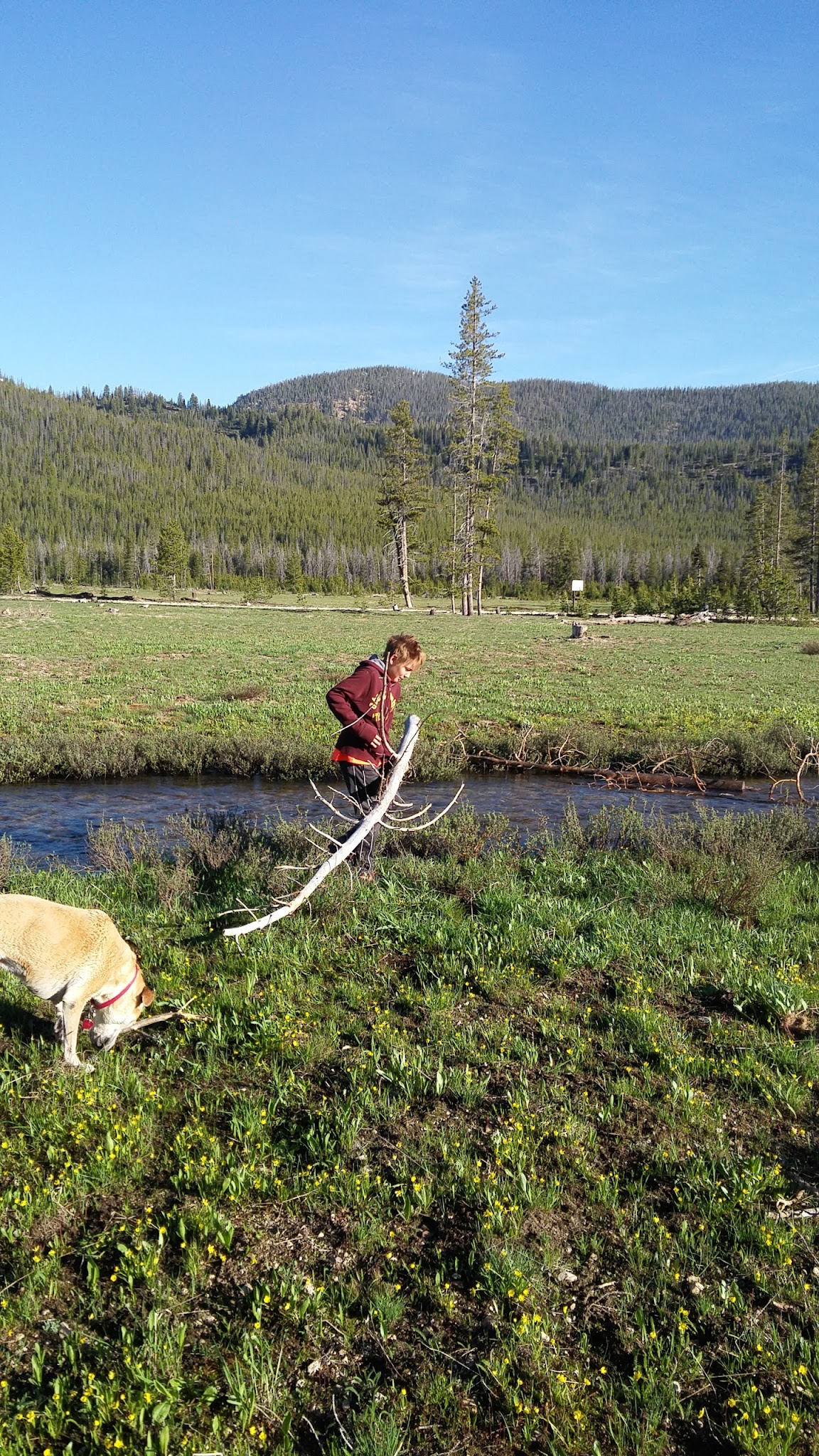 Bench Creek Campground