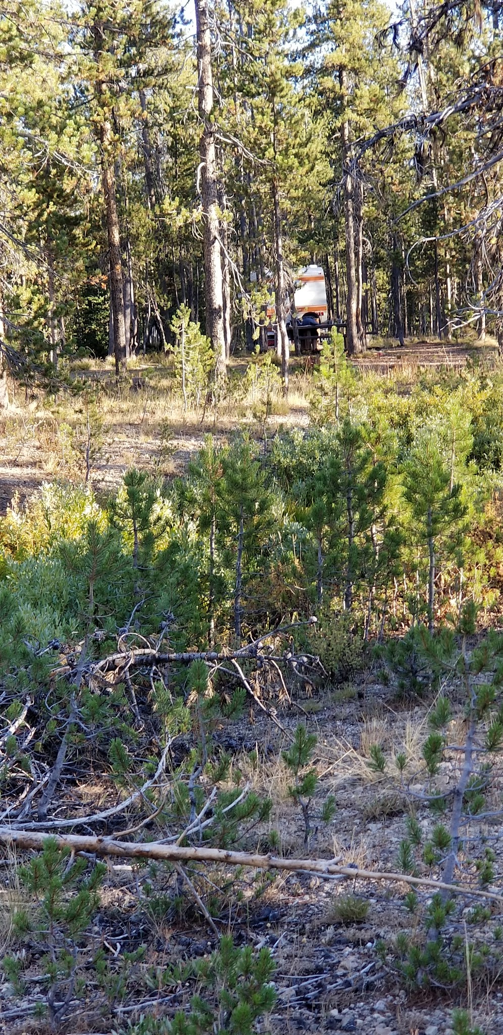 Bench Creek Campground