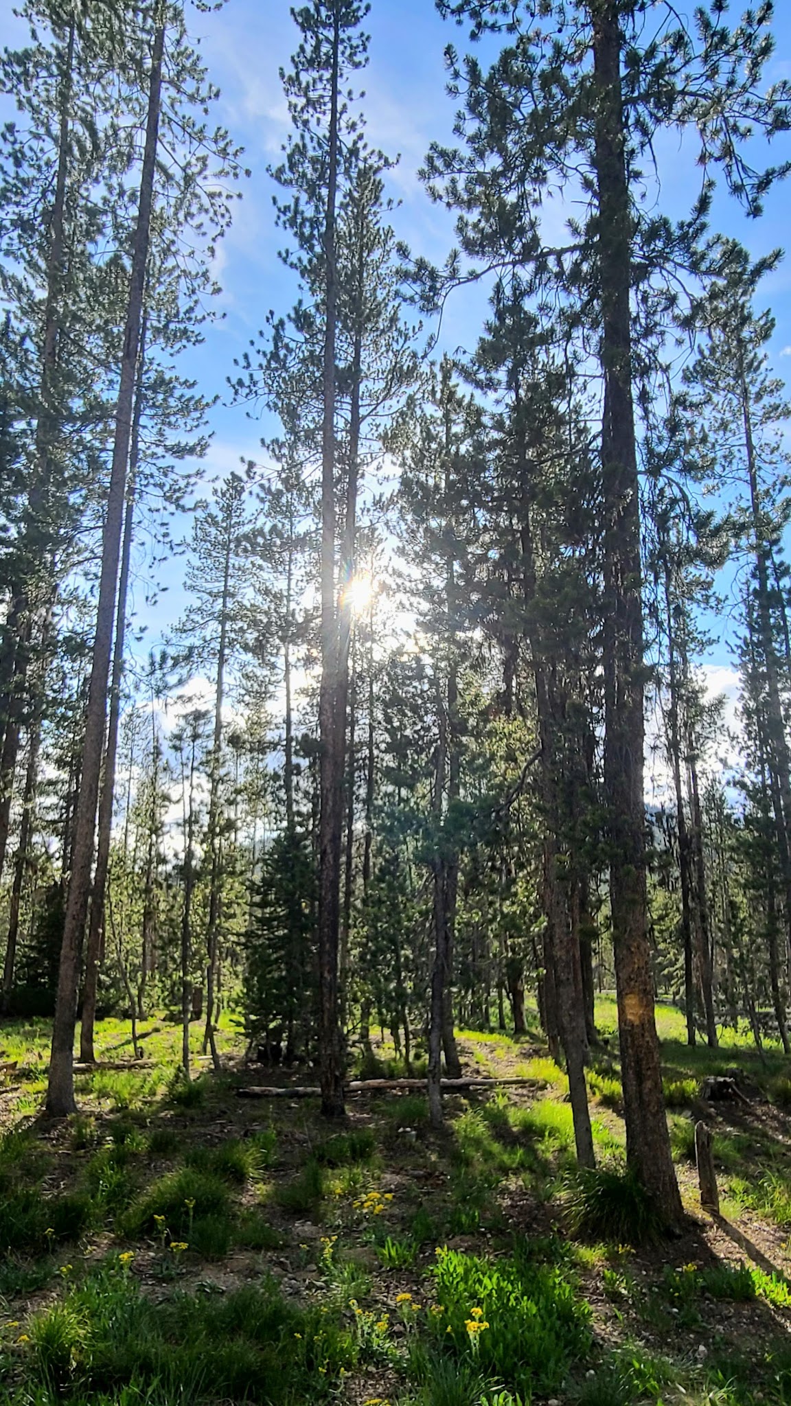 Bench Creek Campground