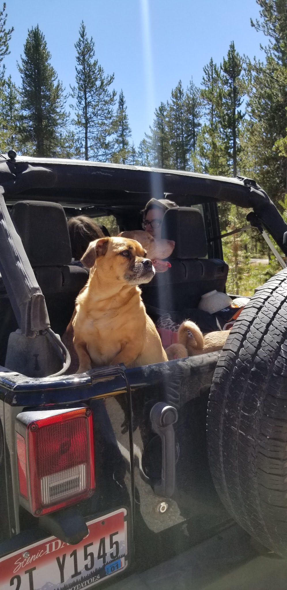Bench Creek Campground