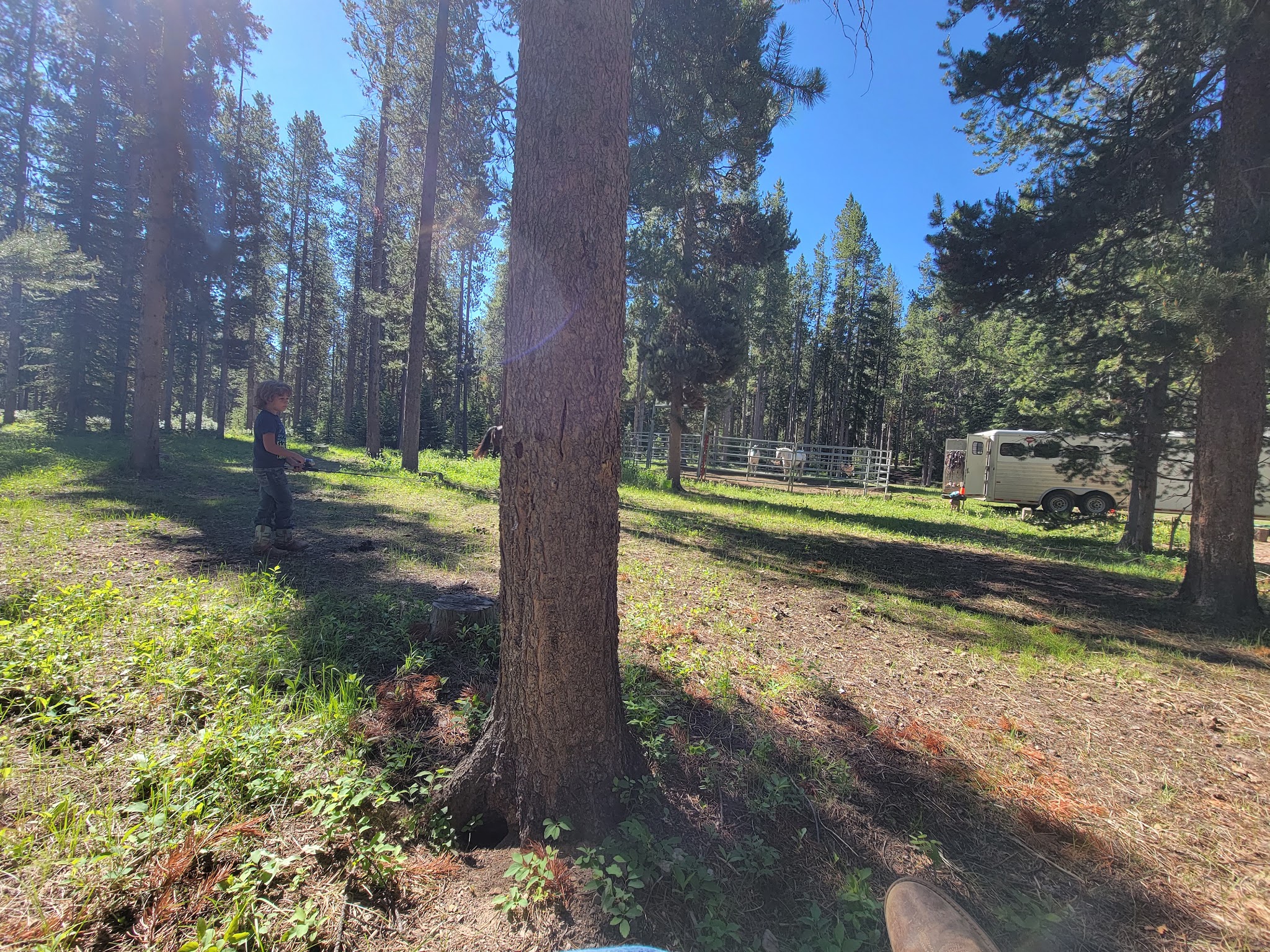 Benchmark Campground