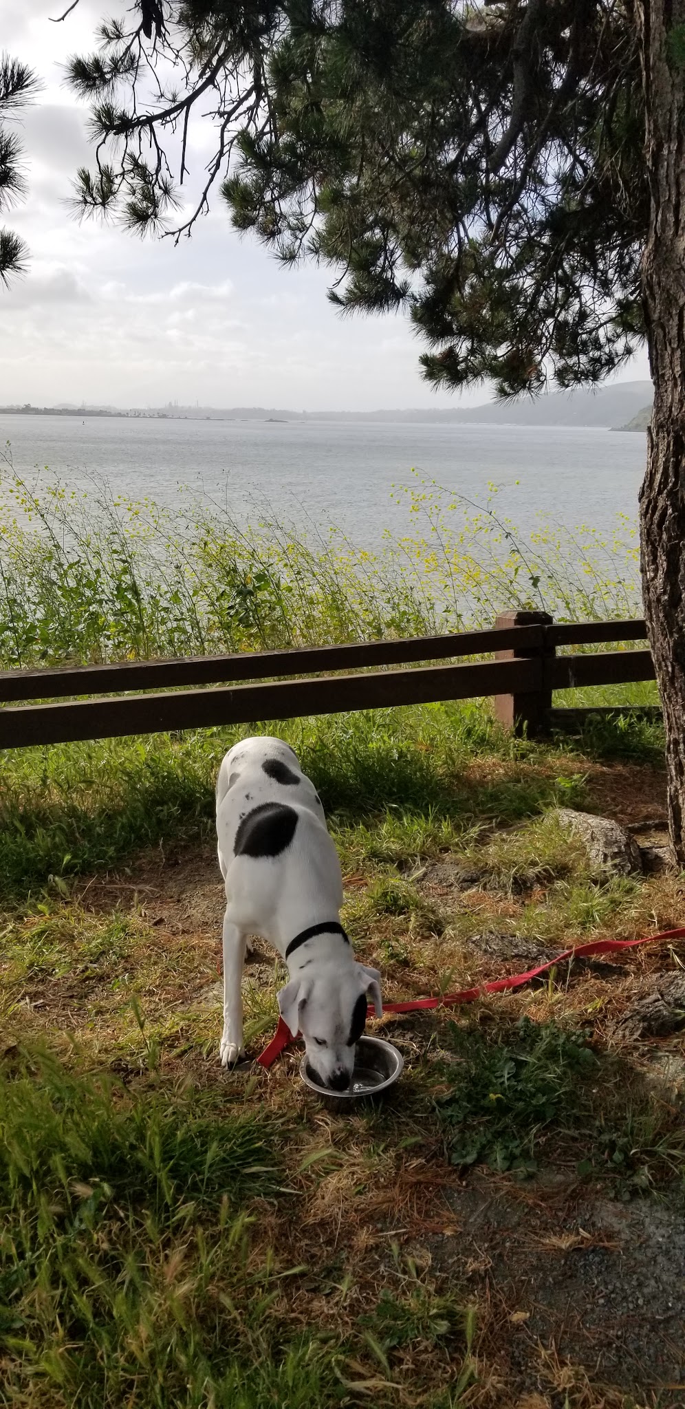 Benicia State Recreation Campground