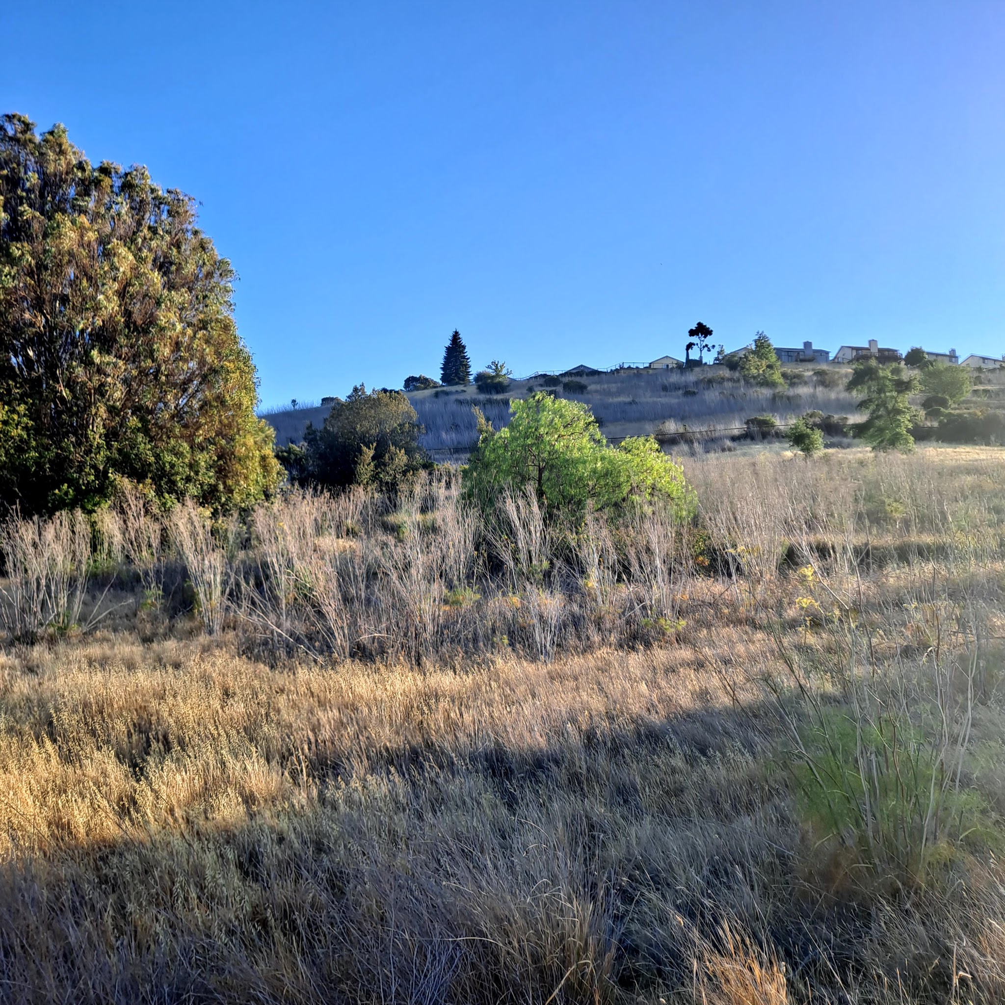 Benicia State Recreation Campground
