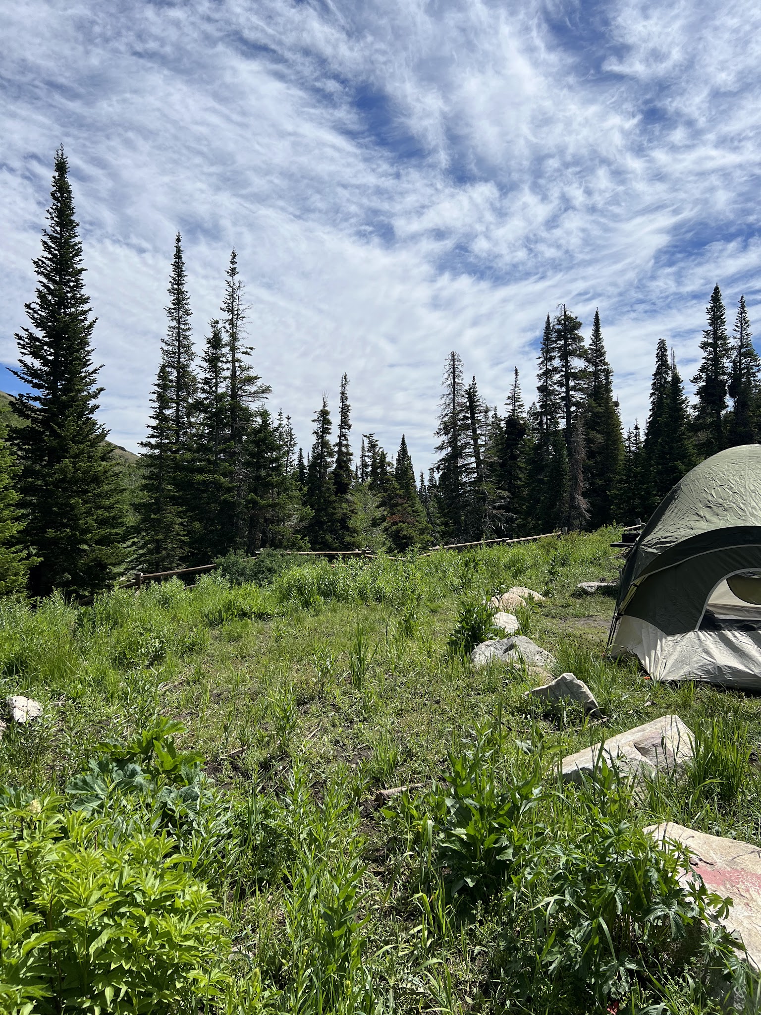 Bennett Springs Campground