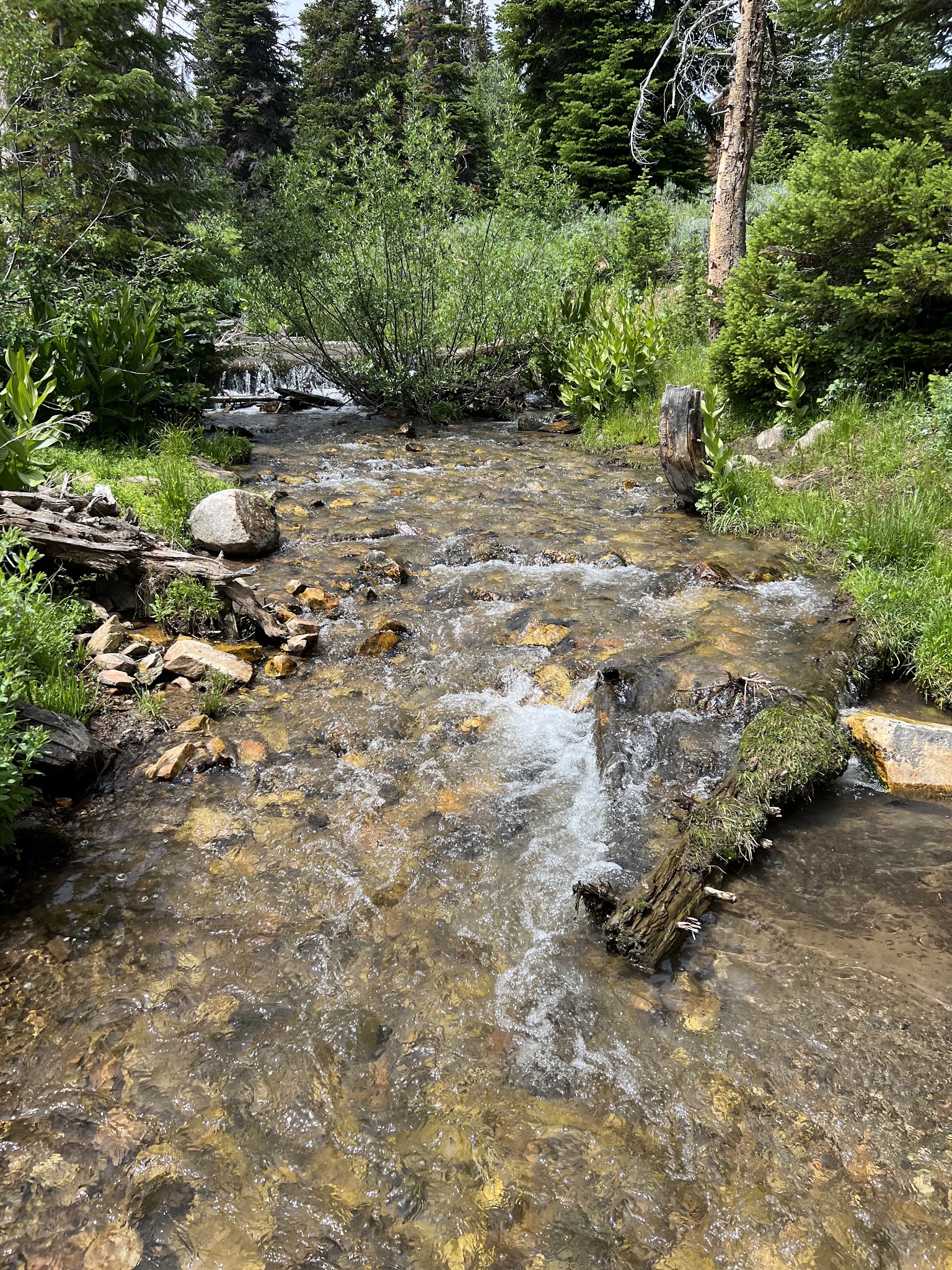 Bennett Springs Campground