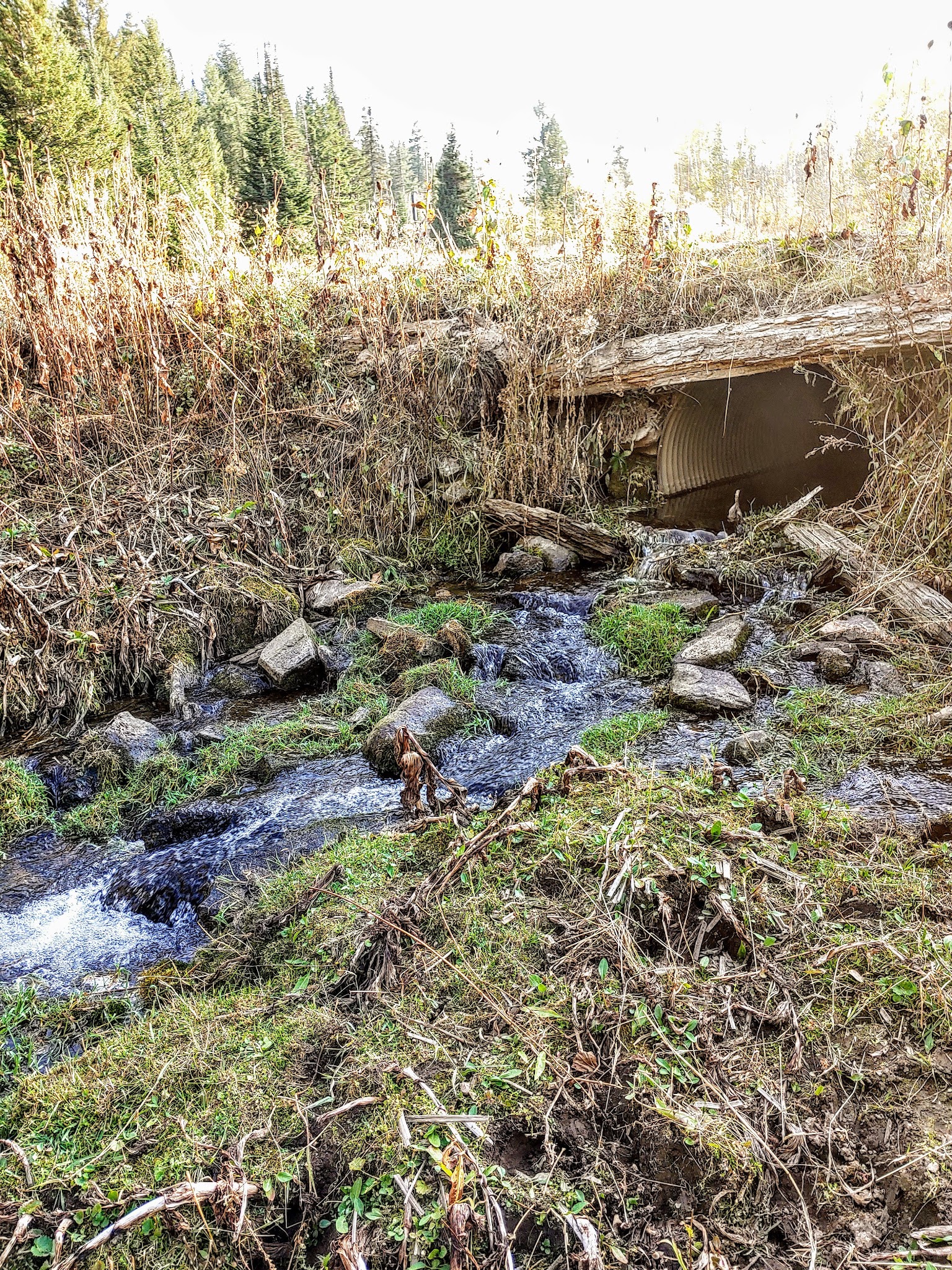 Bennett Springs Campground
