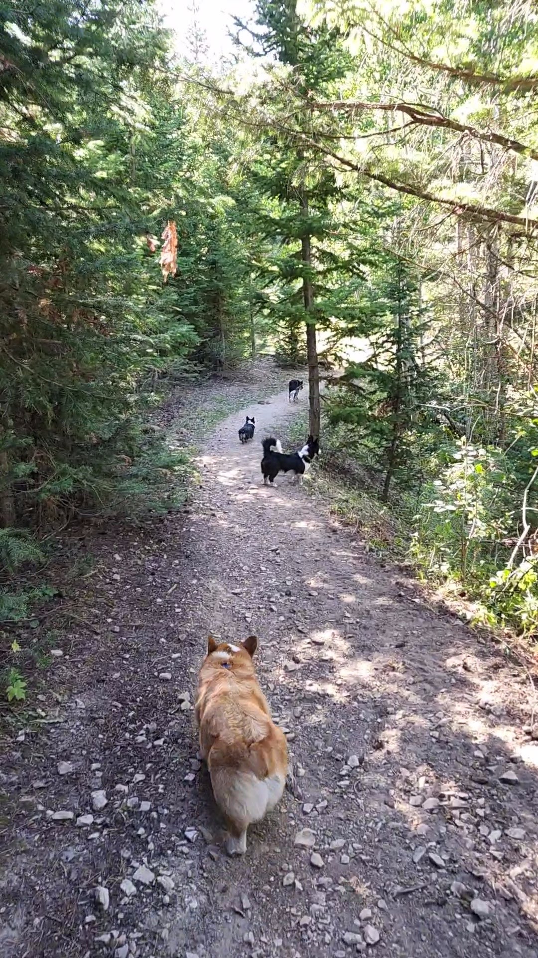 Bennett Springs Campground