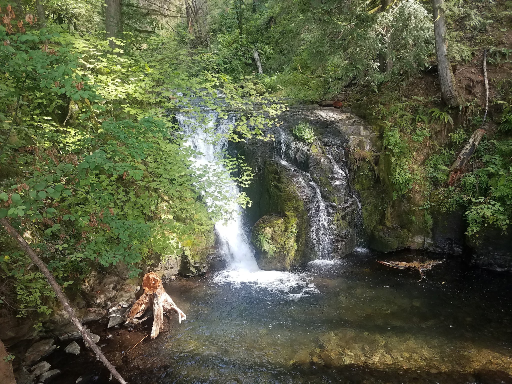 Benson State Recreation Area