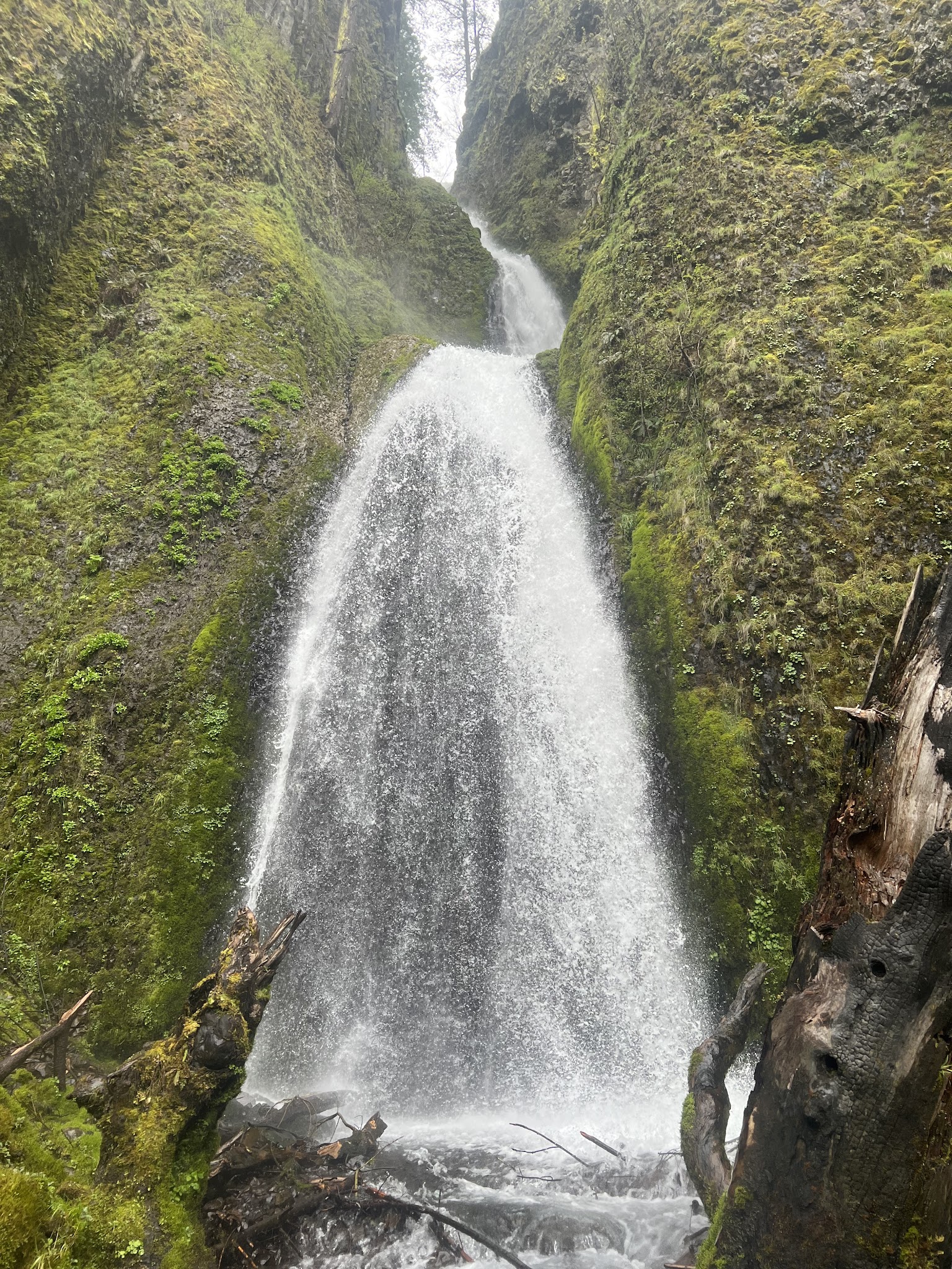 Benson State Recreation Area