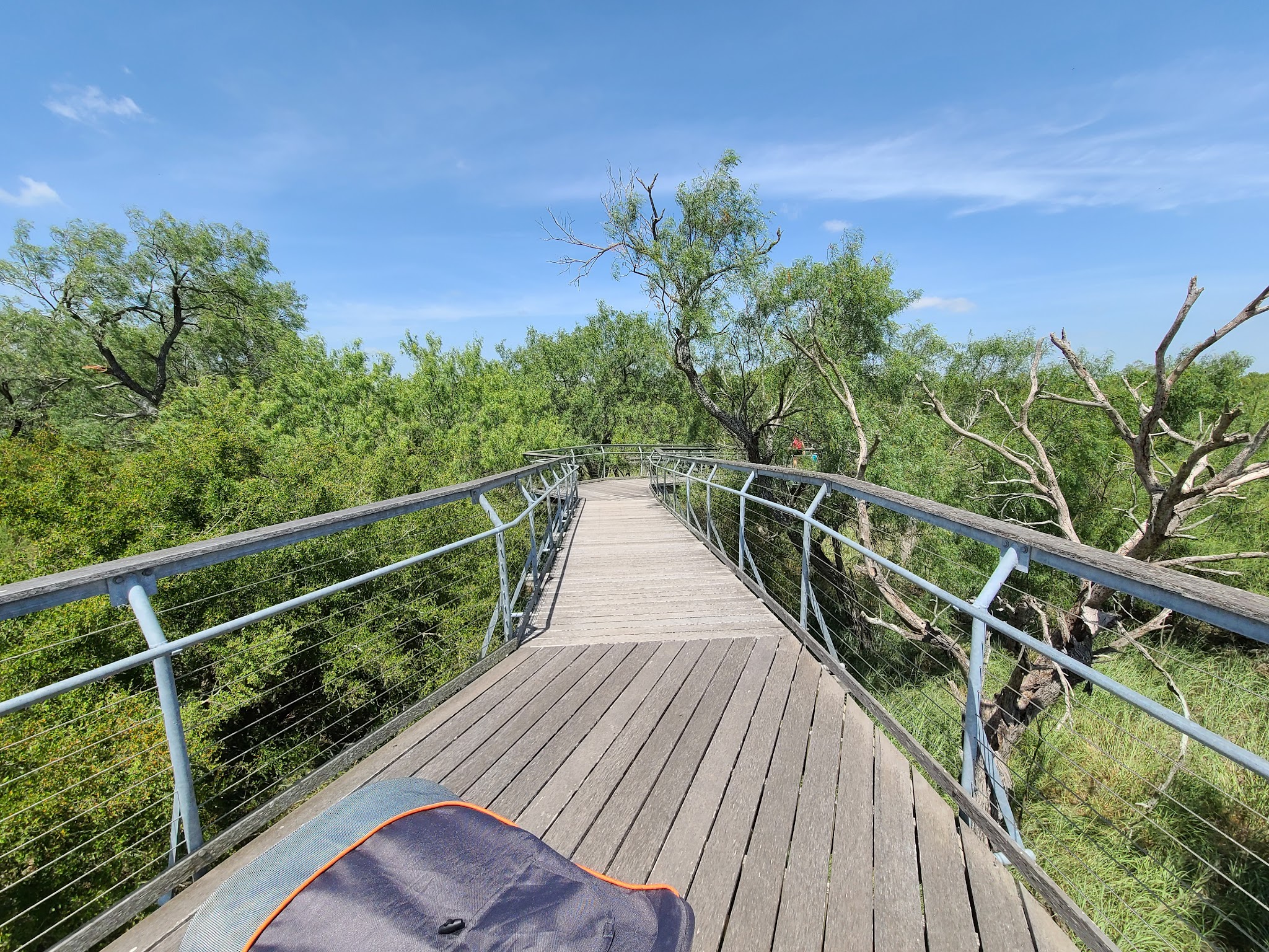 Bentsen-Rio Grande Valley State Park