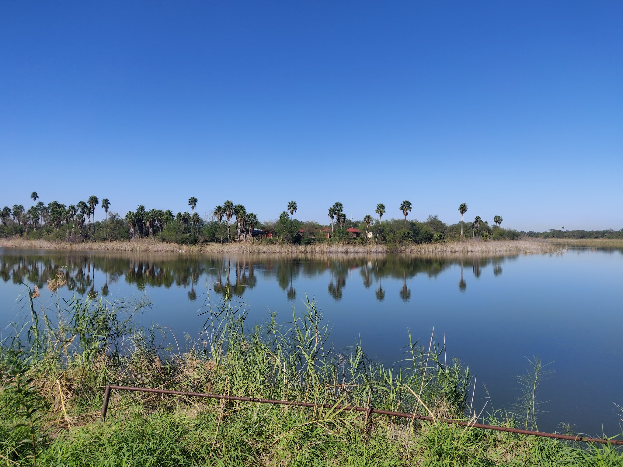 Bentsen-Rio Grande Valley State Park