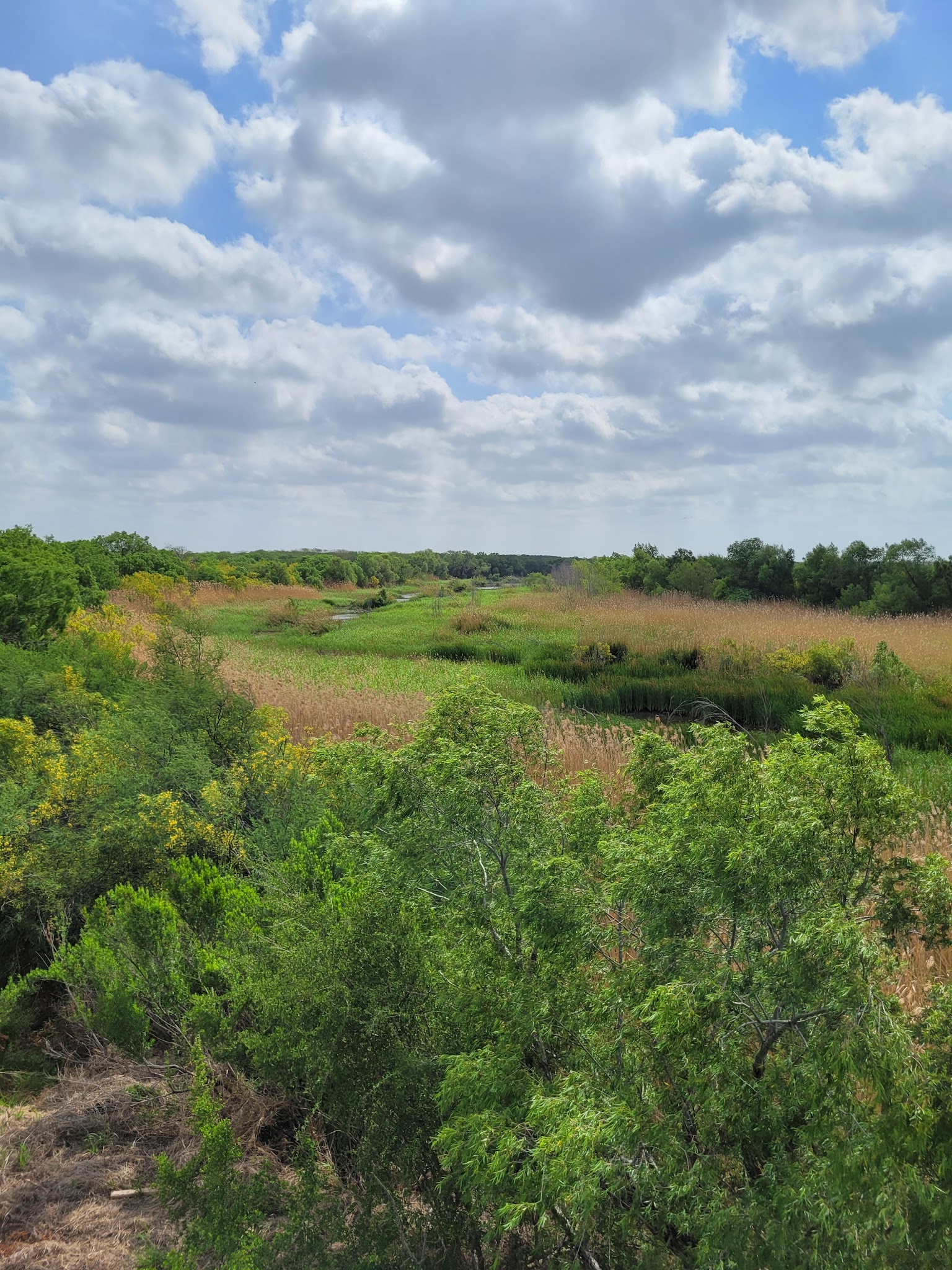 Bentsen-Rio Grande Valley State Park