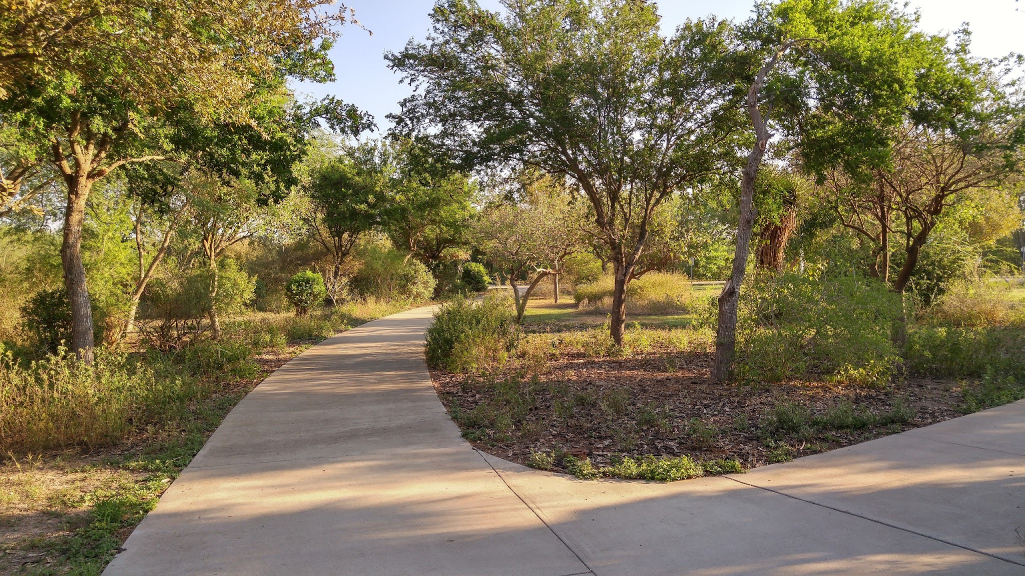 Bentsen-Rio Grande Valley State Park