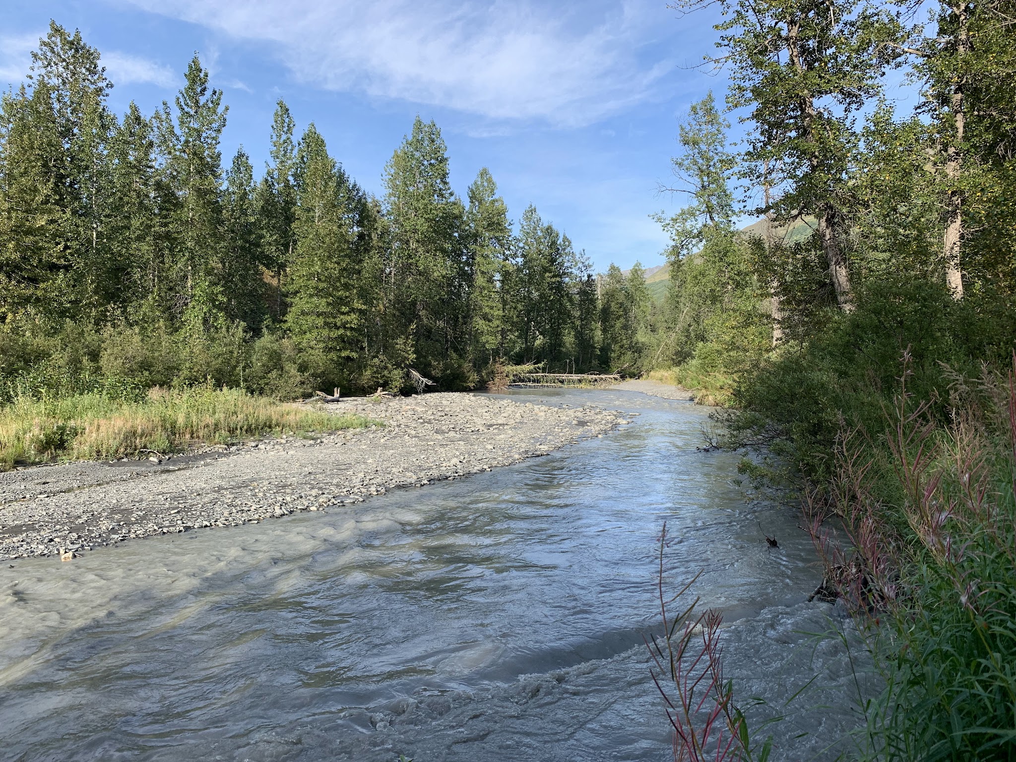 Bertha Creek Campground