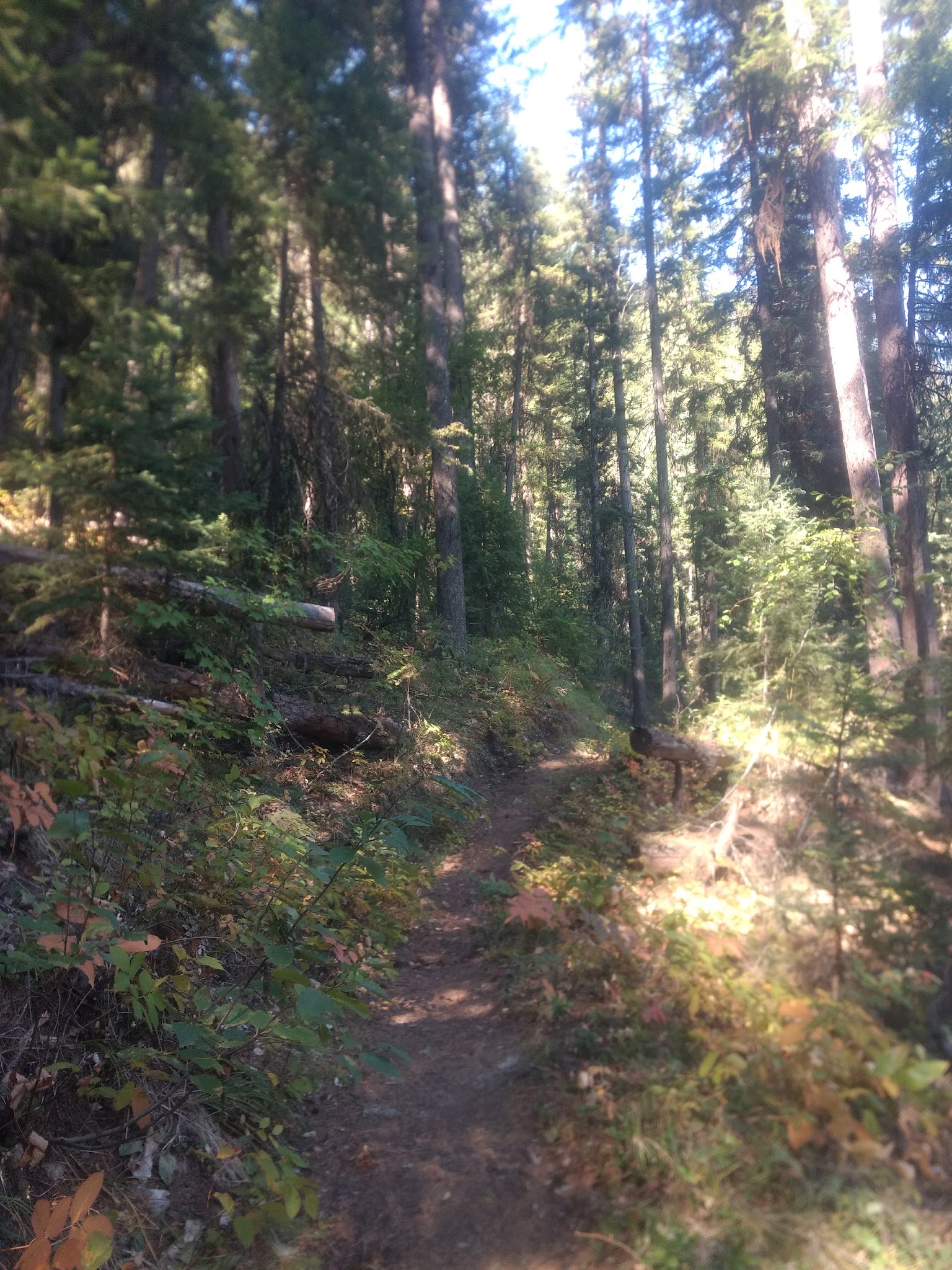 Beth Lake Campground