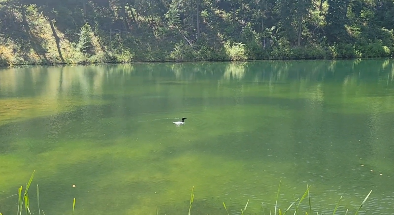 Beth Lake Campground