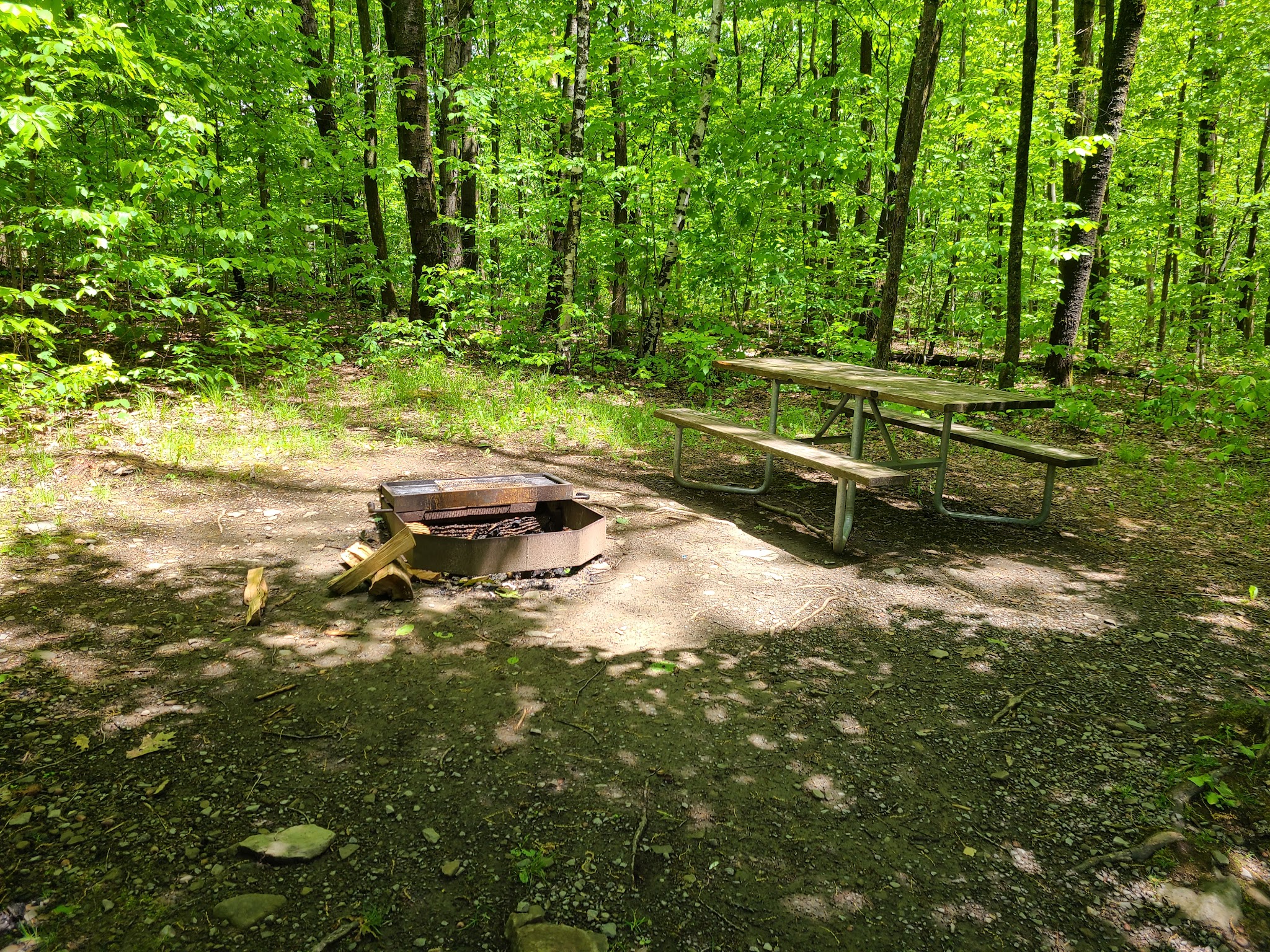Betty And Wilbur Davis State Park