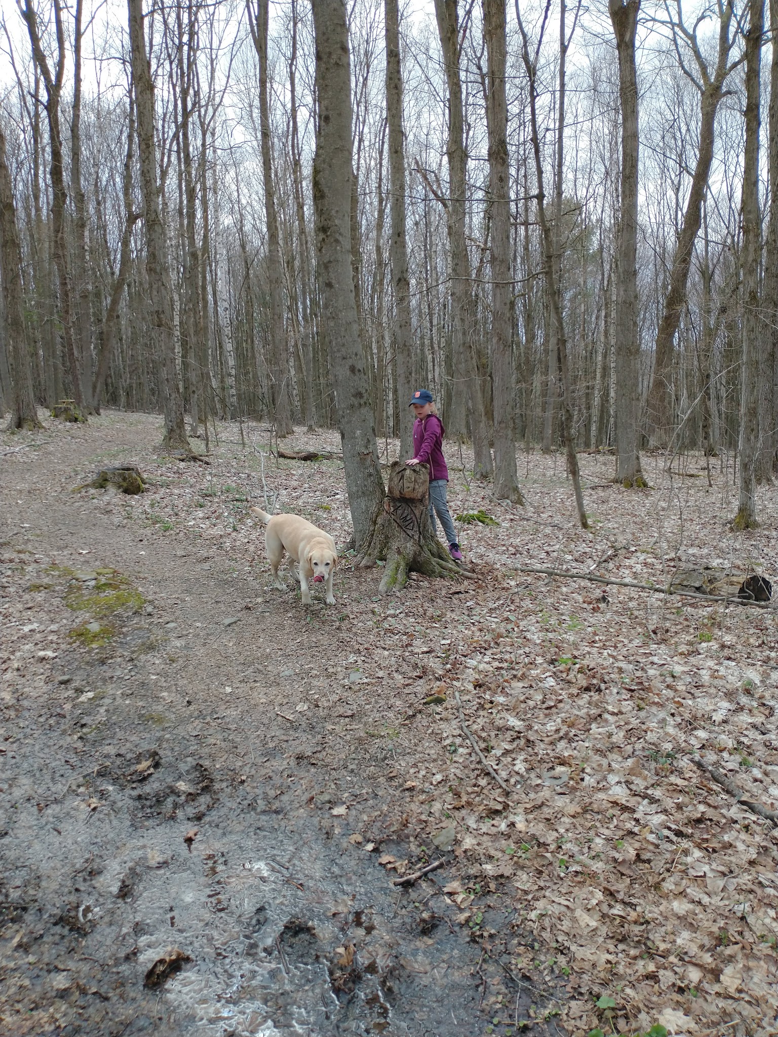Betty And Wilbur Davis State Park