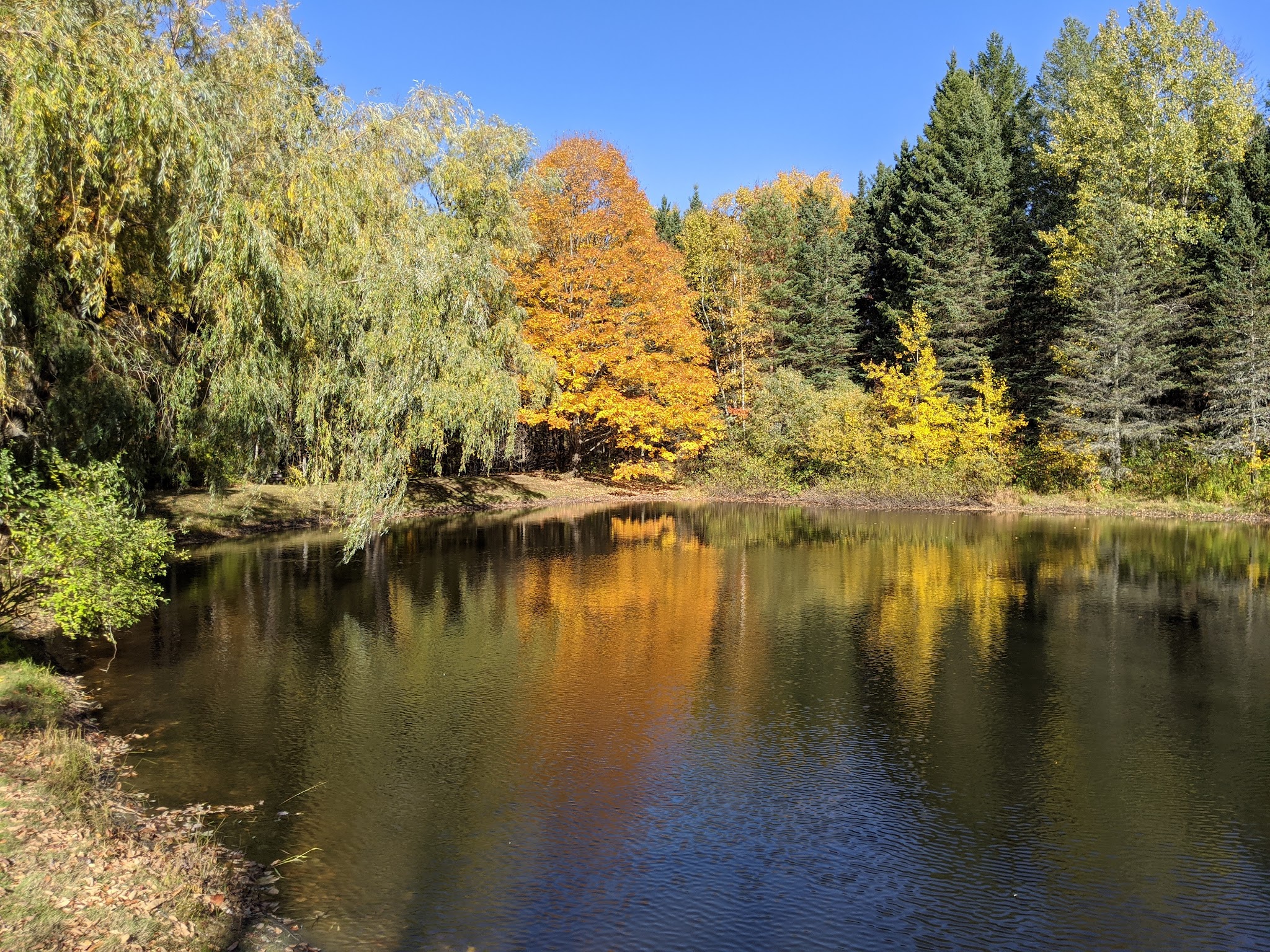 Betty And Wilbur Davis State Park