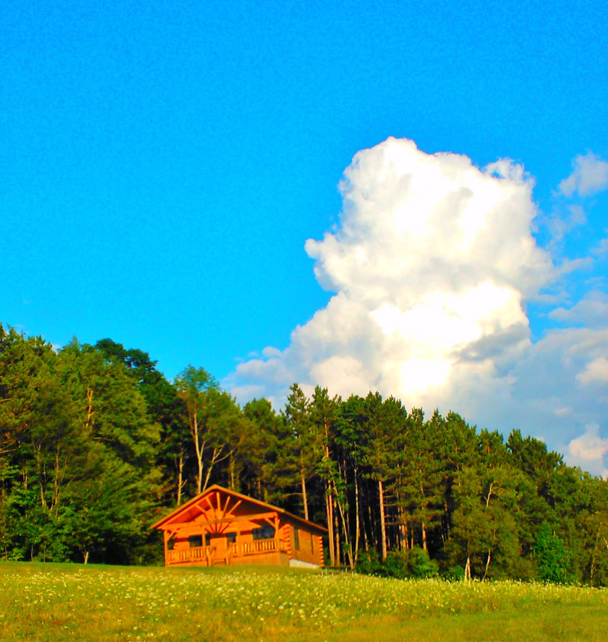 Betty And Wilbur Davis State Park