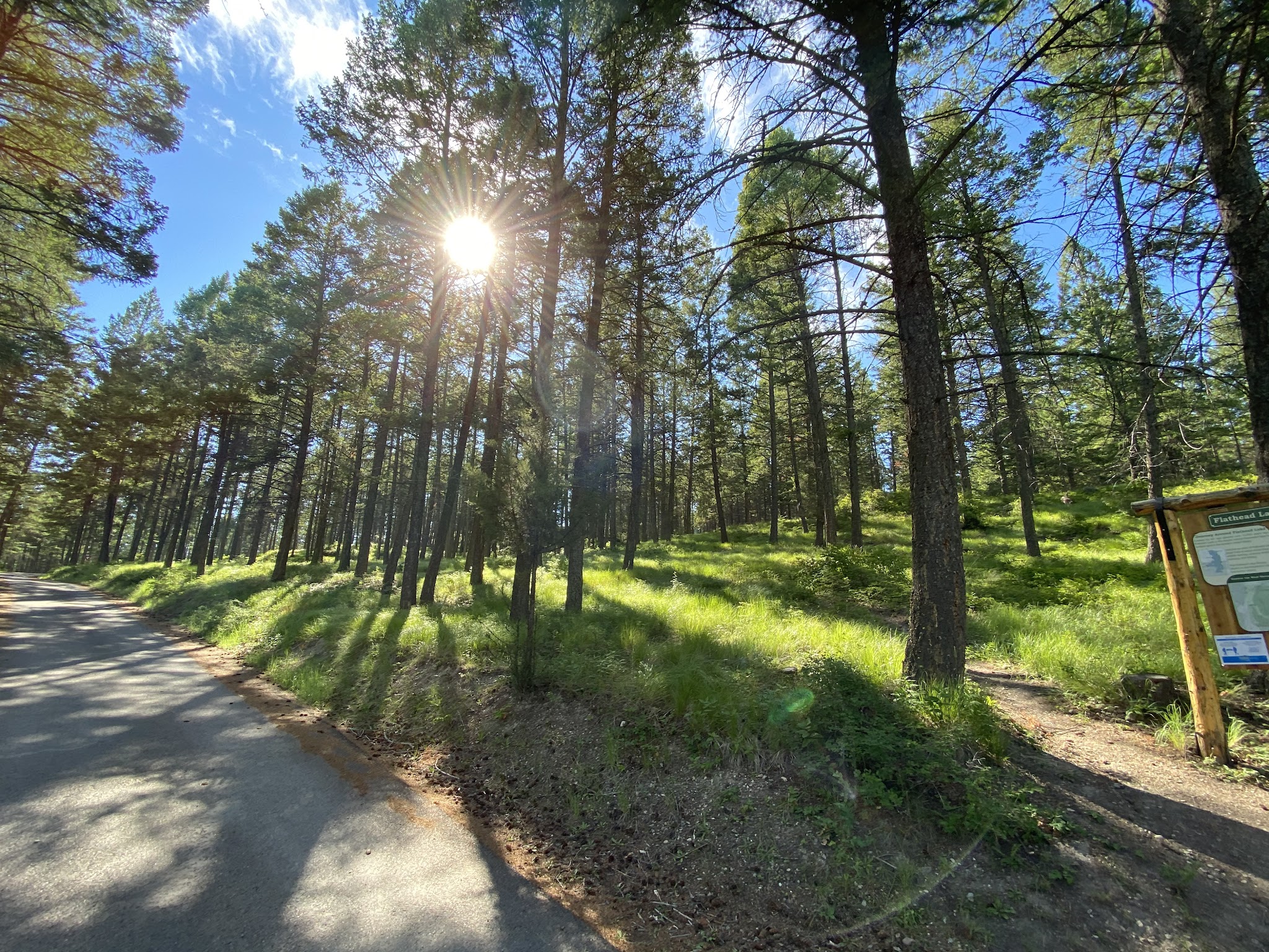 Big Arm Unit - Flathead Lake State Park