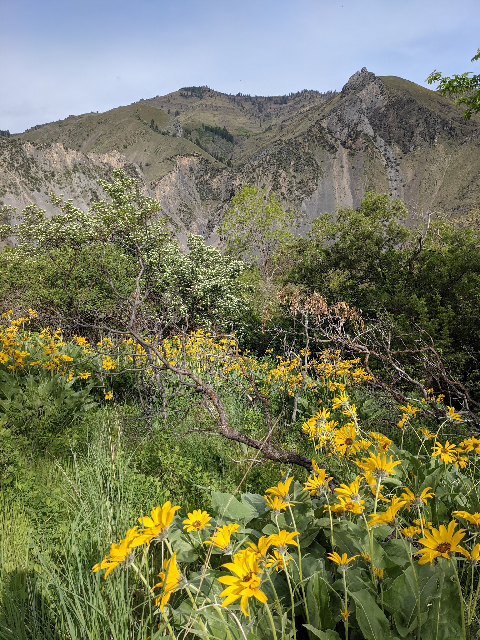 Big Bar Camping Area