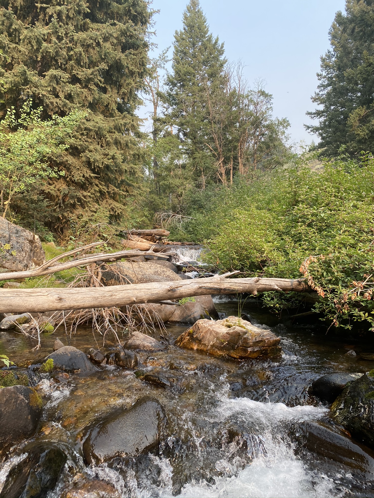 Big Bayhorse Campground