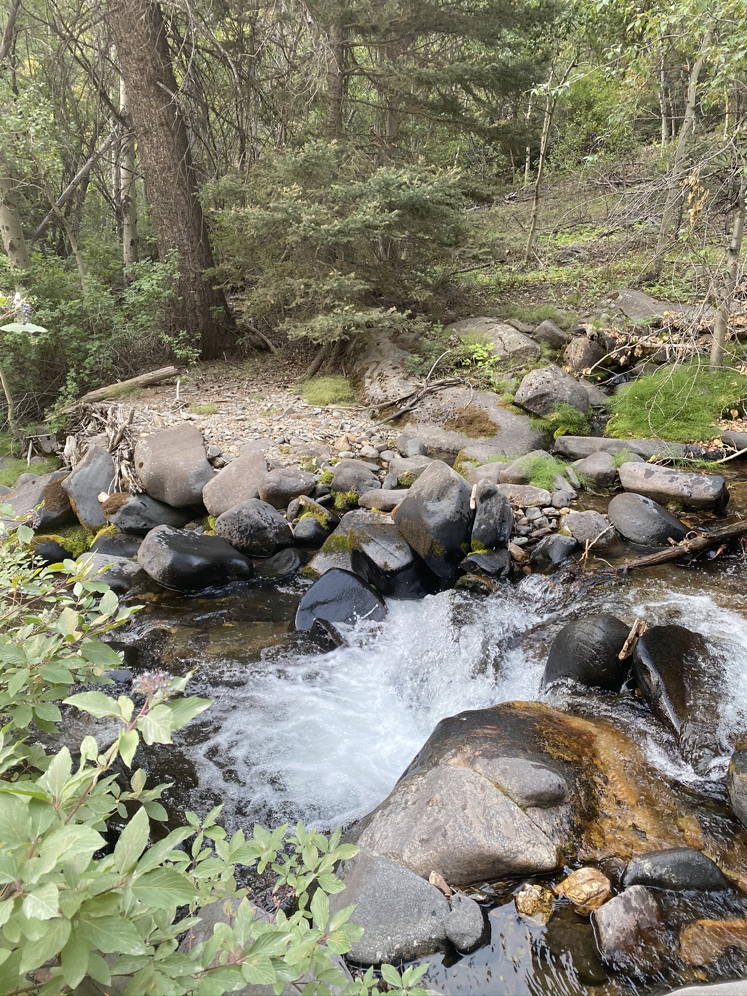 Big Bayhorse Campground