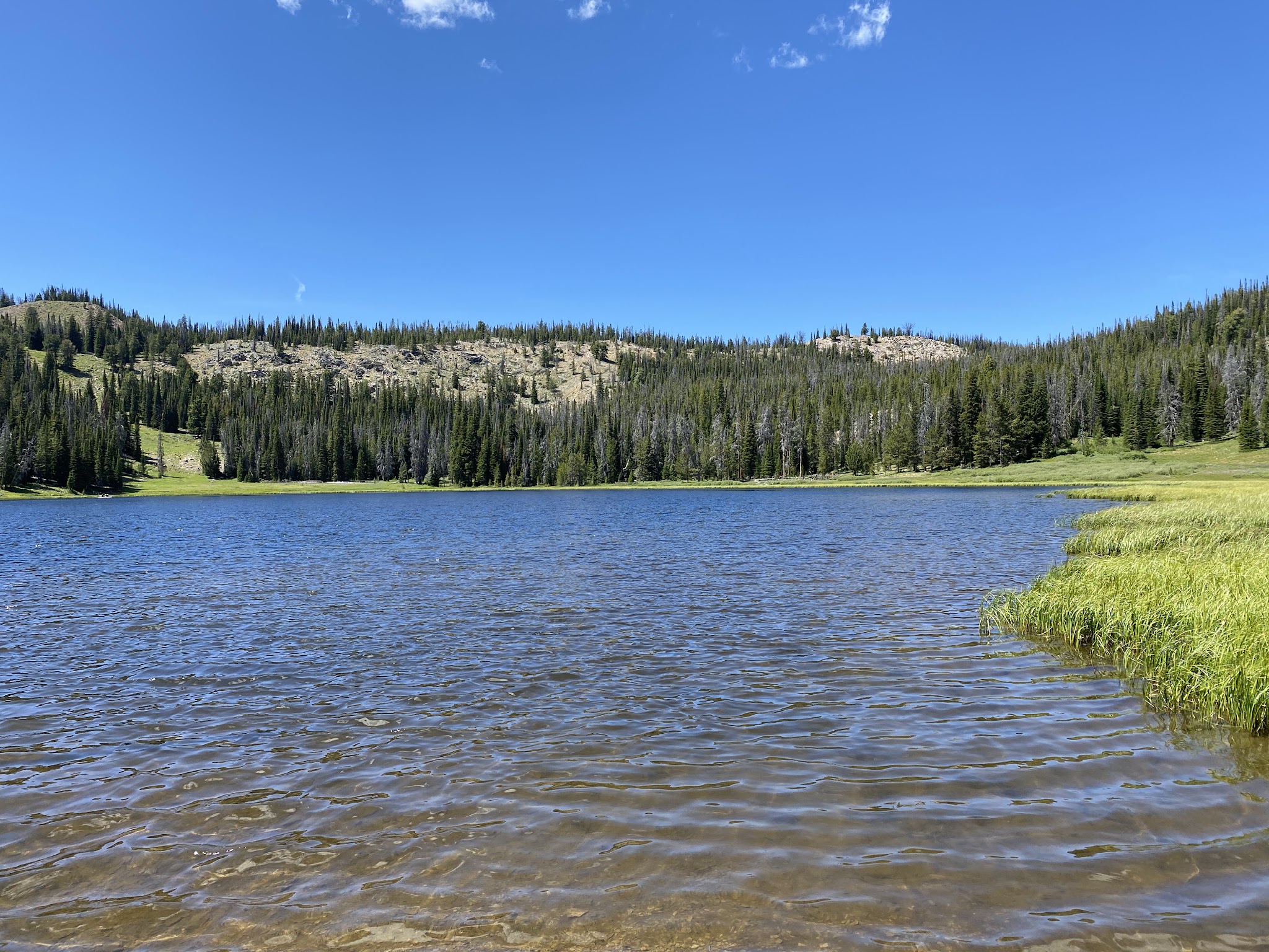 Big Bayhorse Campground