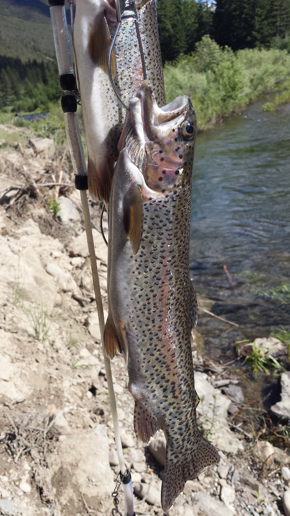 Big Beaver Campground