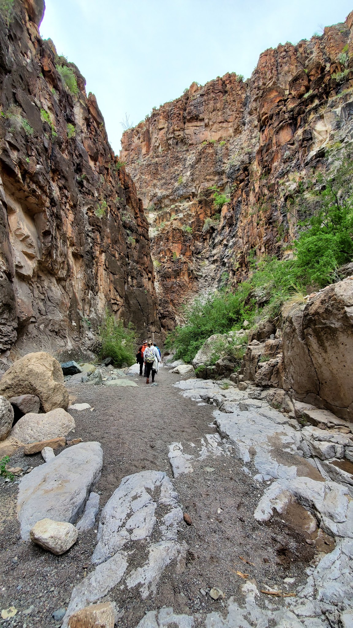Big Bend Ranch State Park