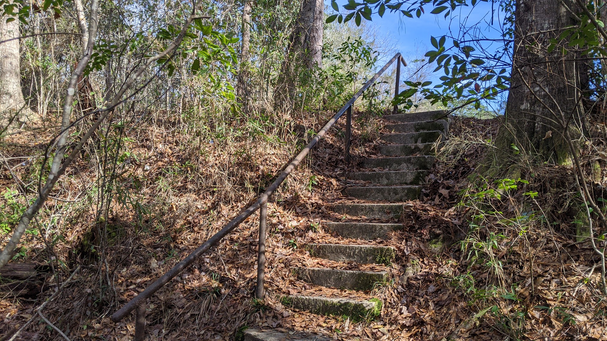 Big Biloxi Recreation Area
