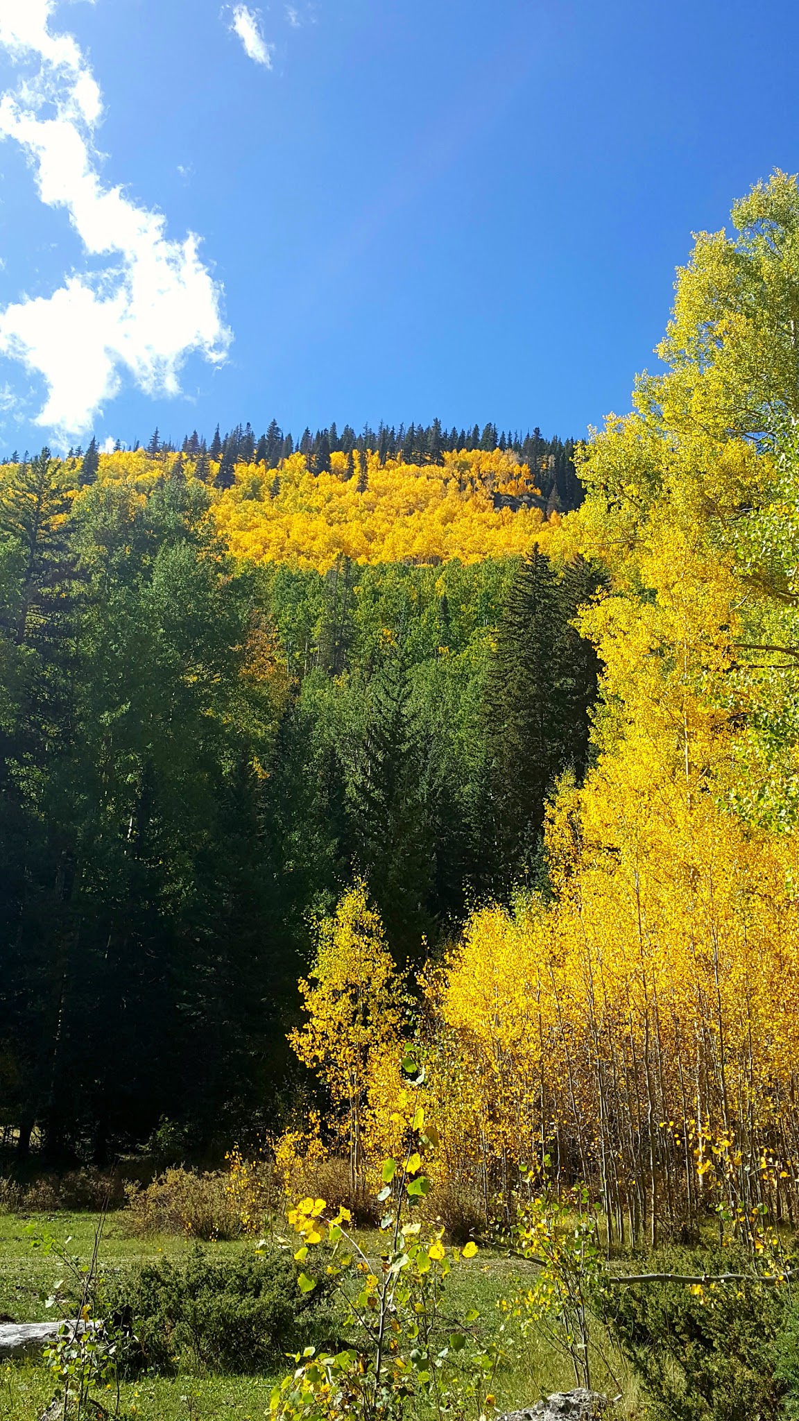 Big Blue Campground - Gunnison Rd