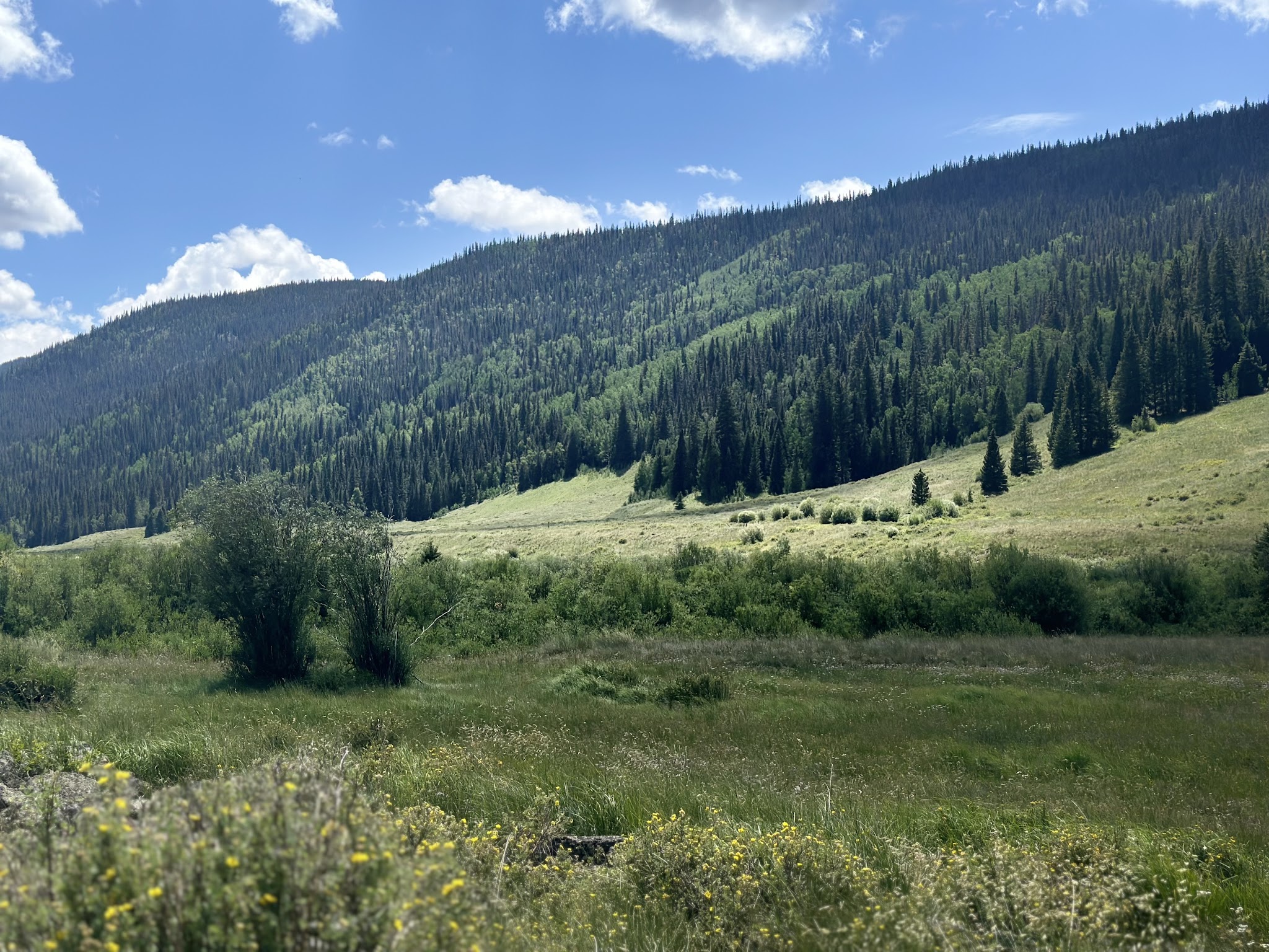 Big Blue Campground - Gunnison Rd