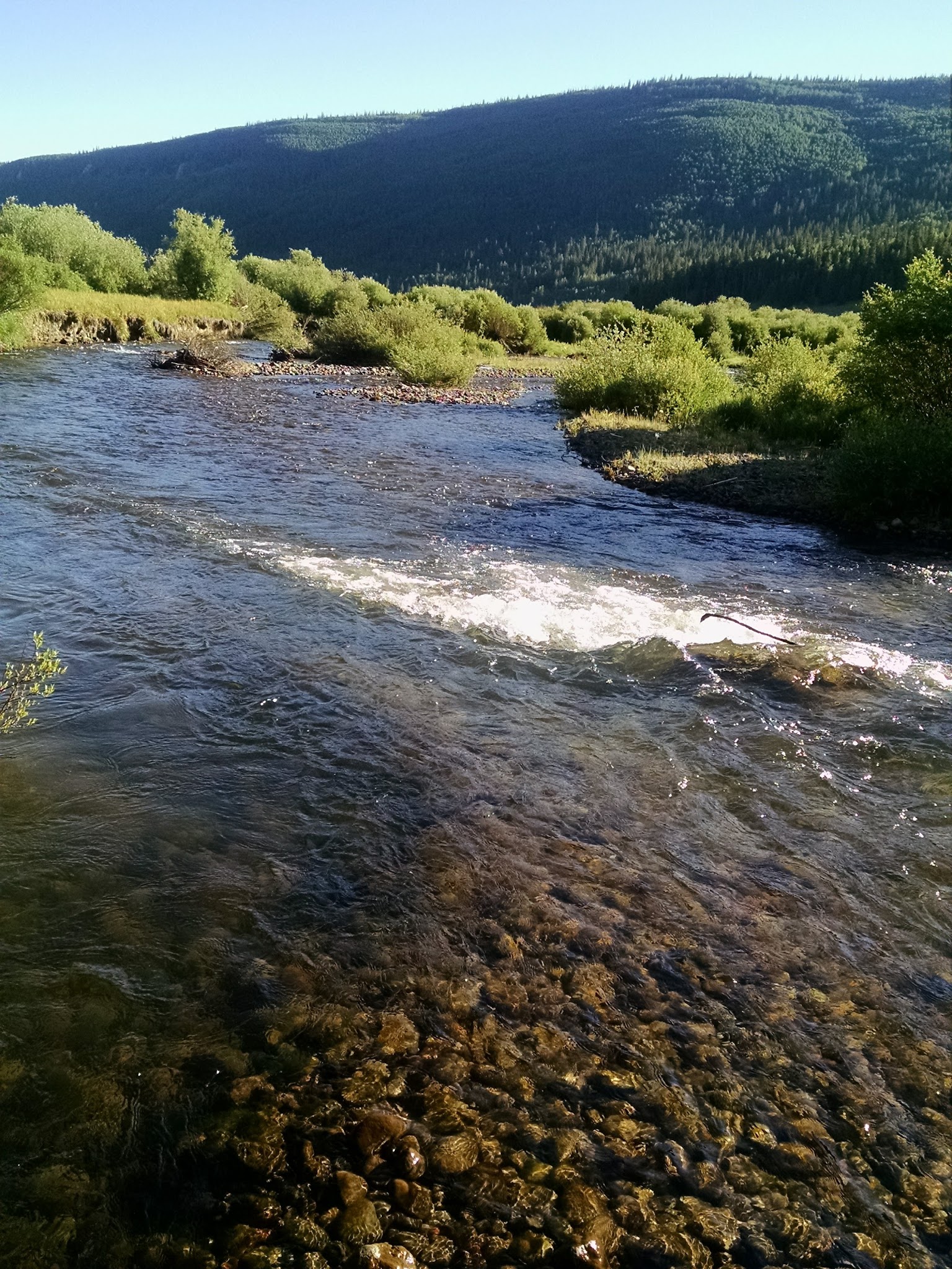 Big Blue Campground - Gunnison Rd