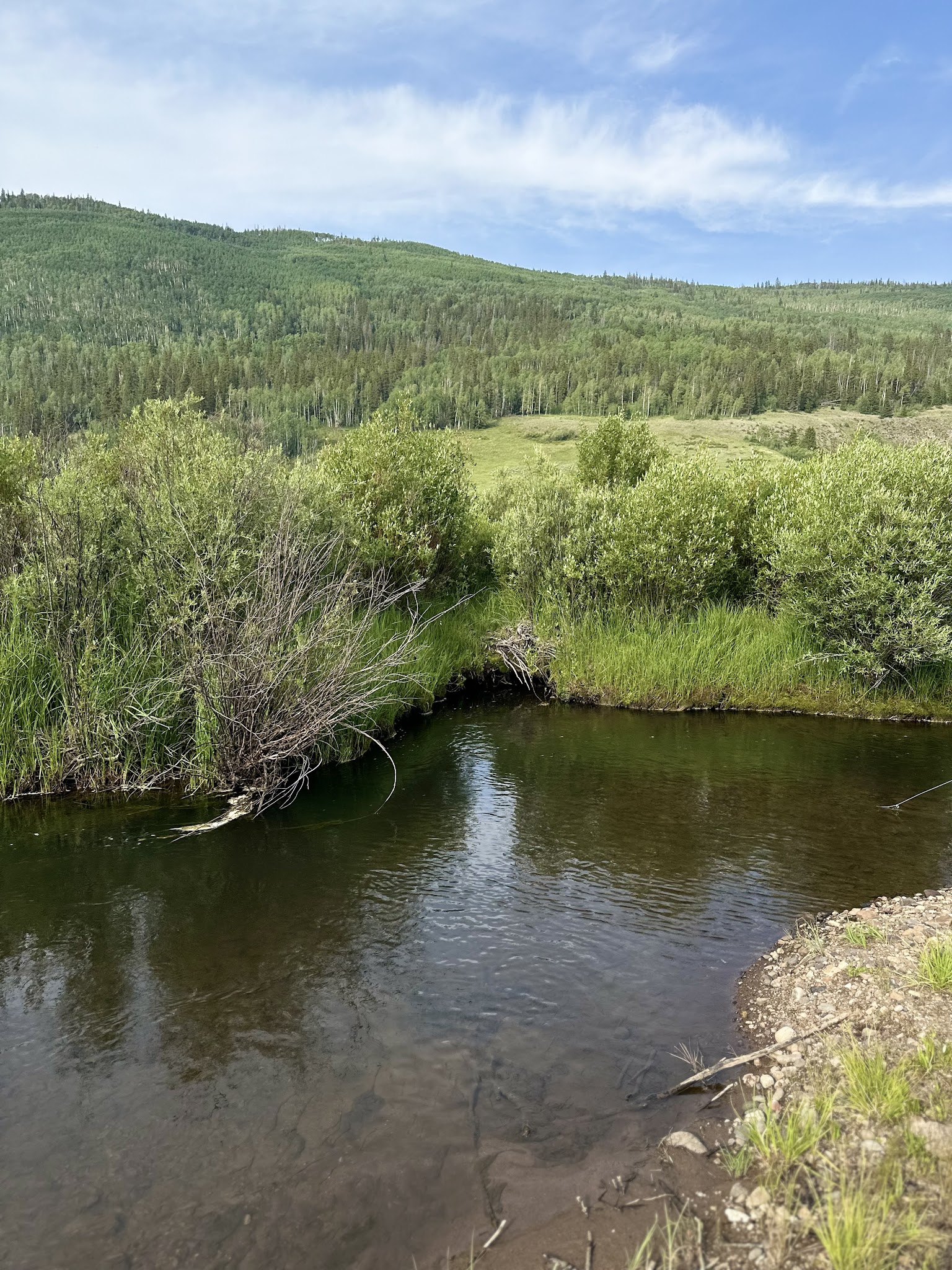 Big Blue Campground - Gunnison Rd