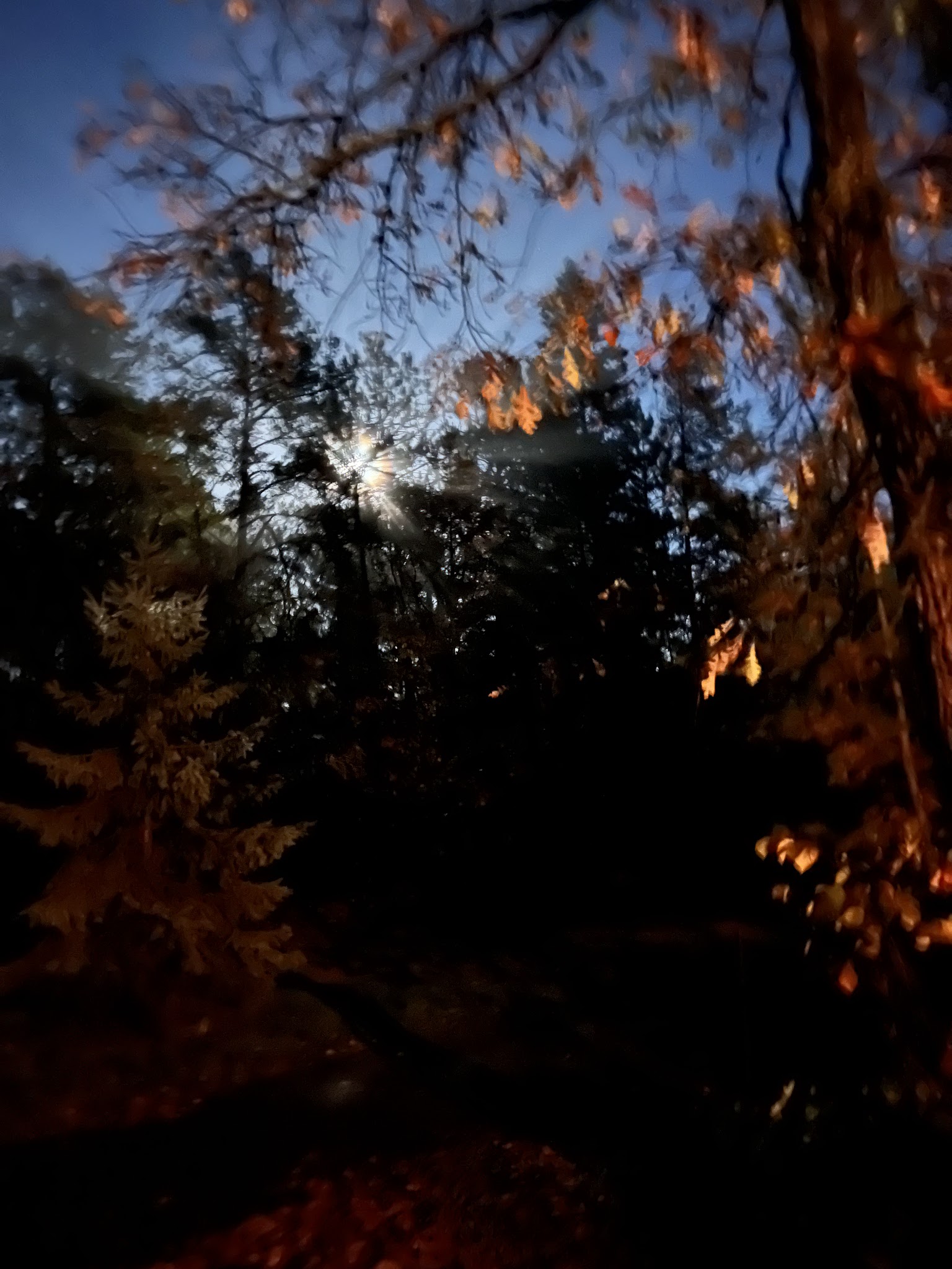 Camper Cabins Campground