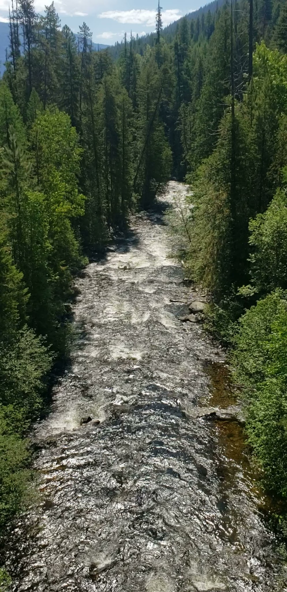 Big Creek Baldy. Lookout Rental