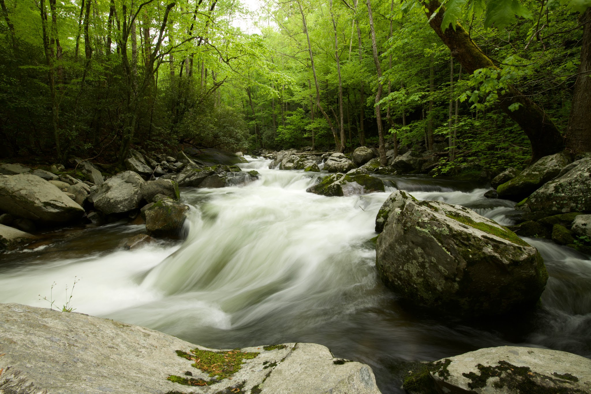 Big Creek Campground