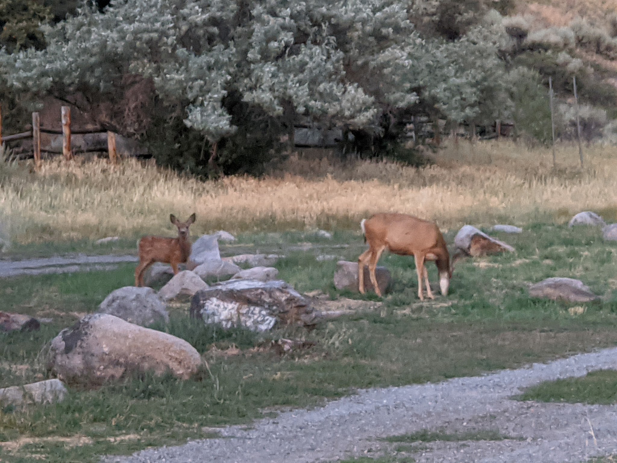 Big Creek Campground