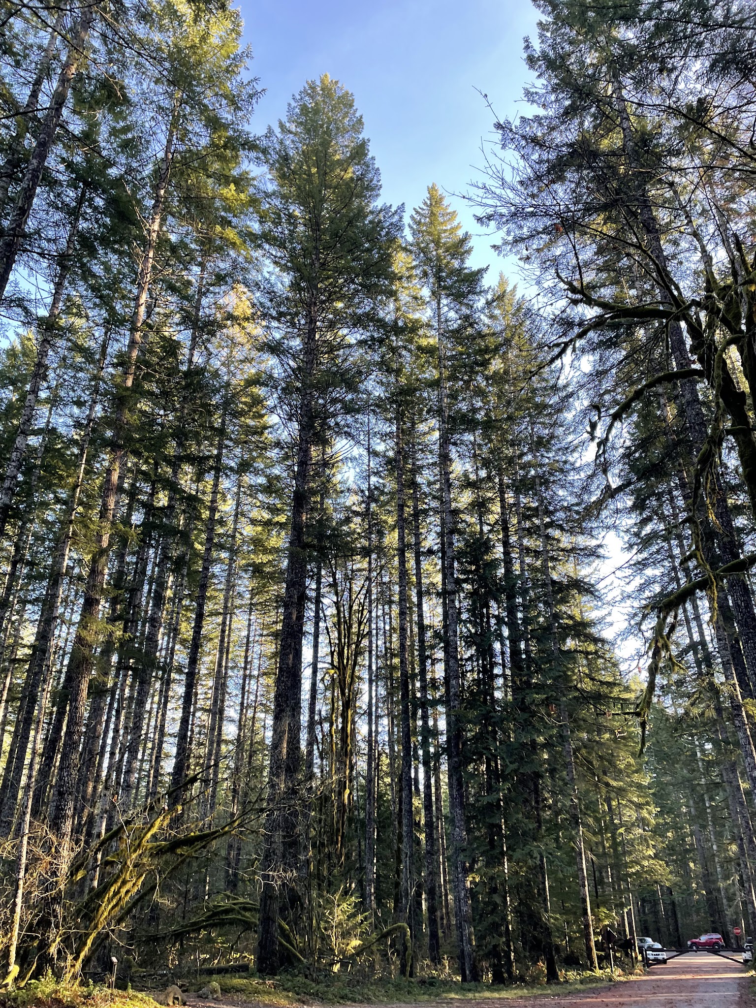 Big Creek Campground