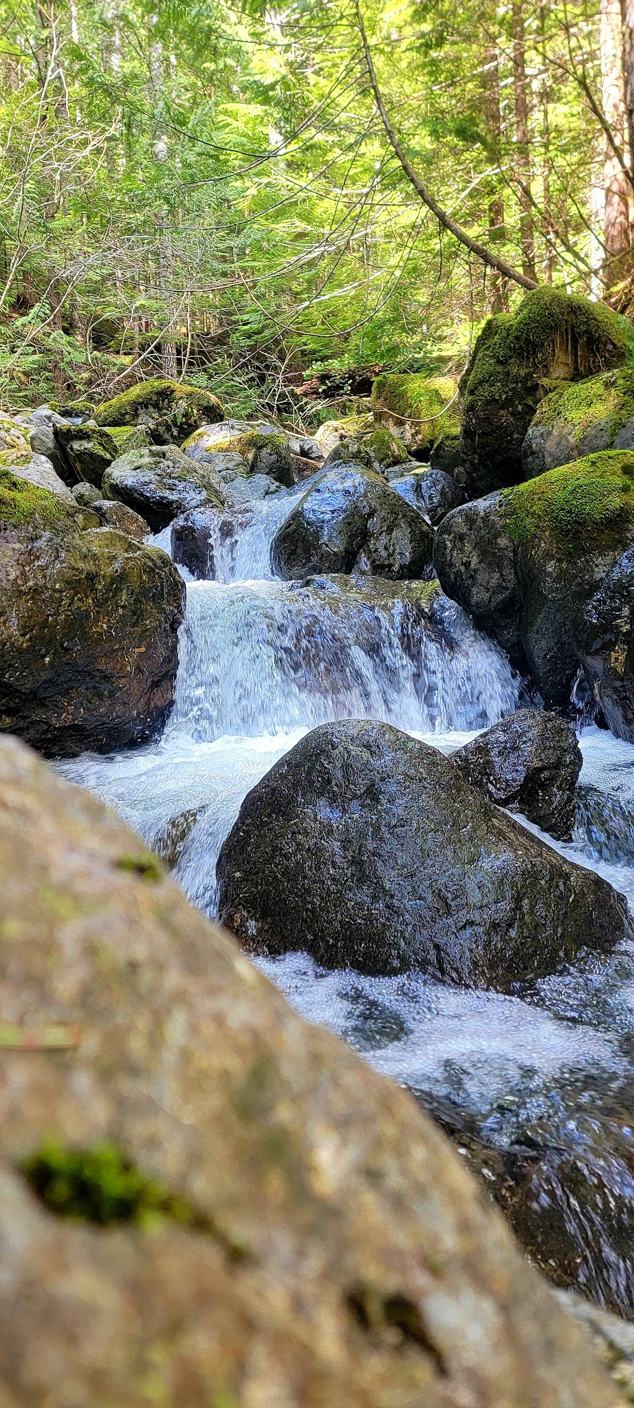 Big Creek Campground