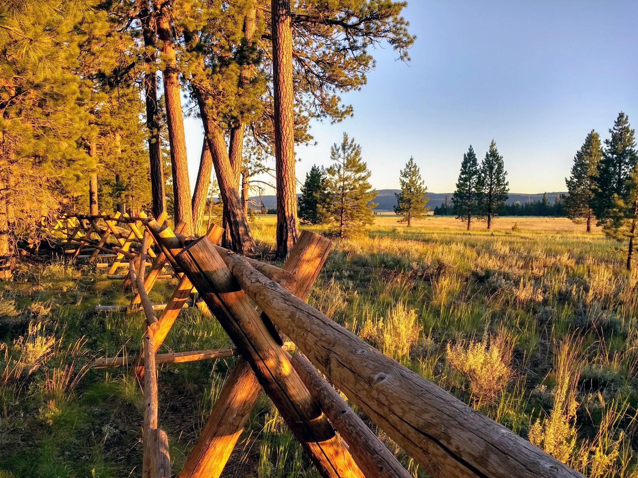 Big Creek Campground