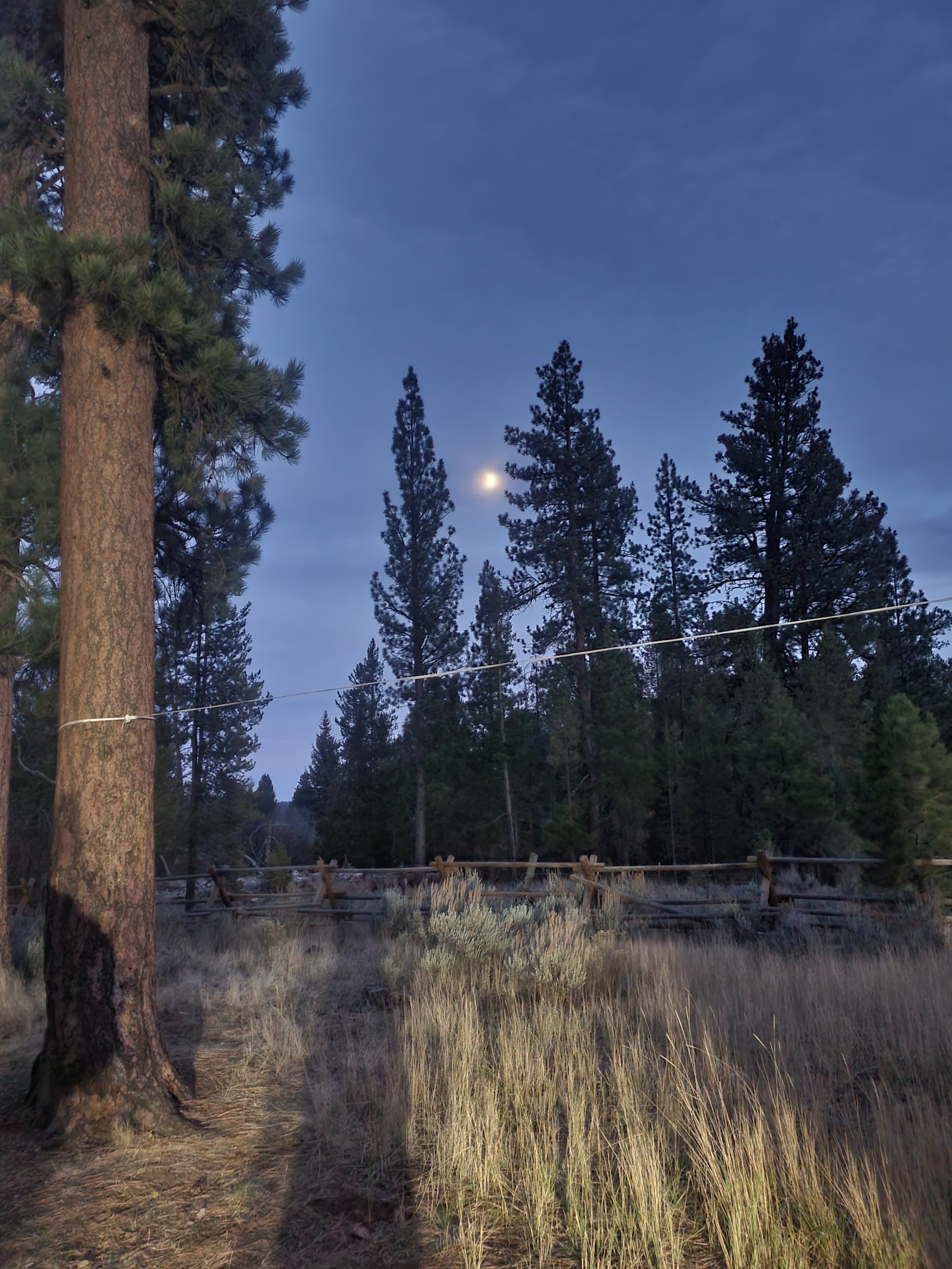 Big Creek Campground